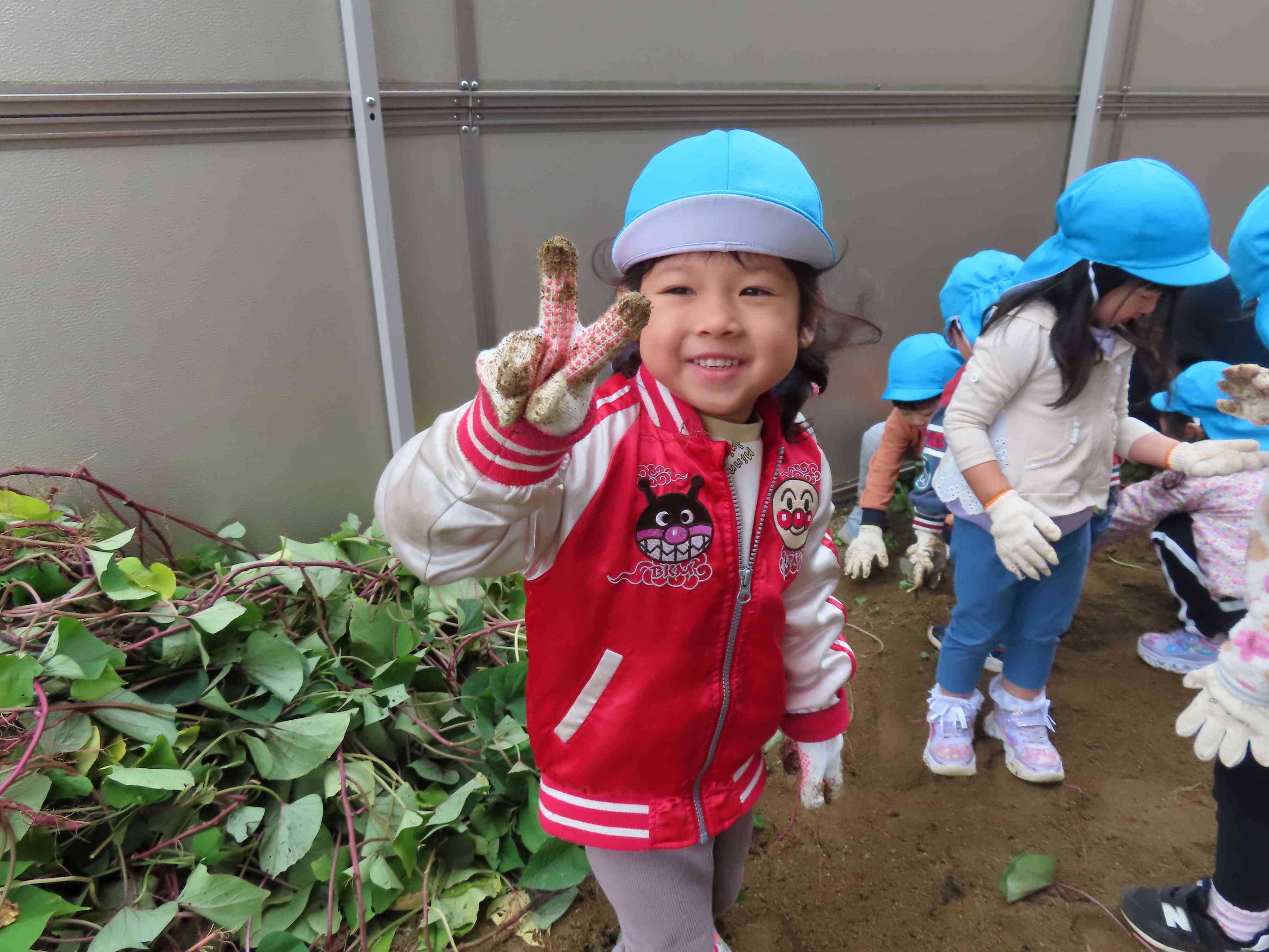 いっぱい採れたよ