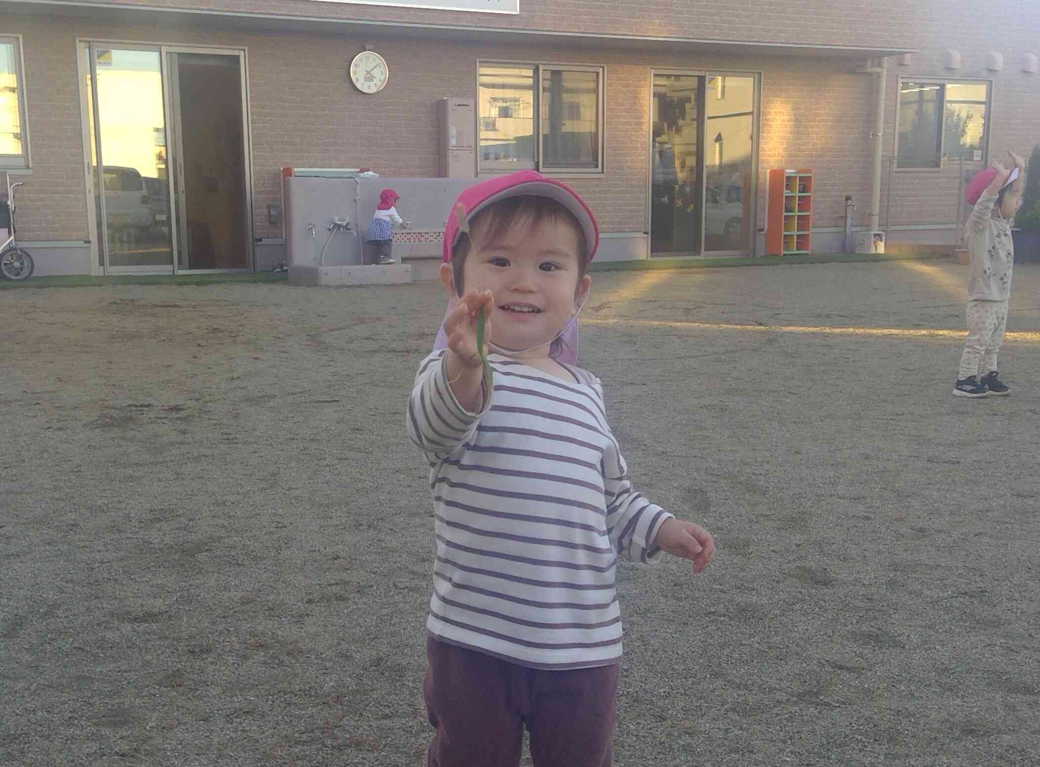 ねこじゃらしみーつけた！