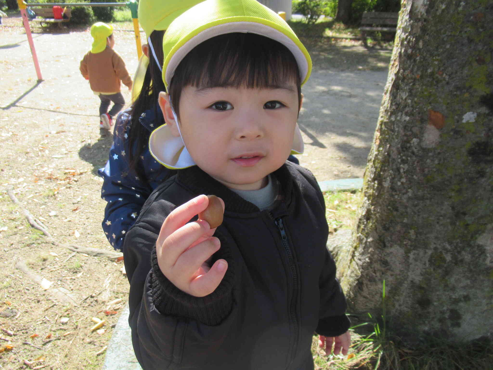 小さい秋、みーつけた♪