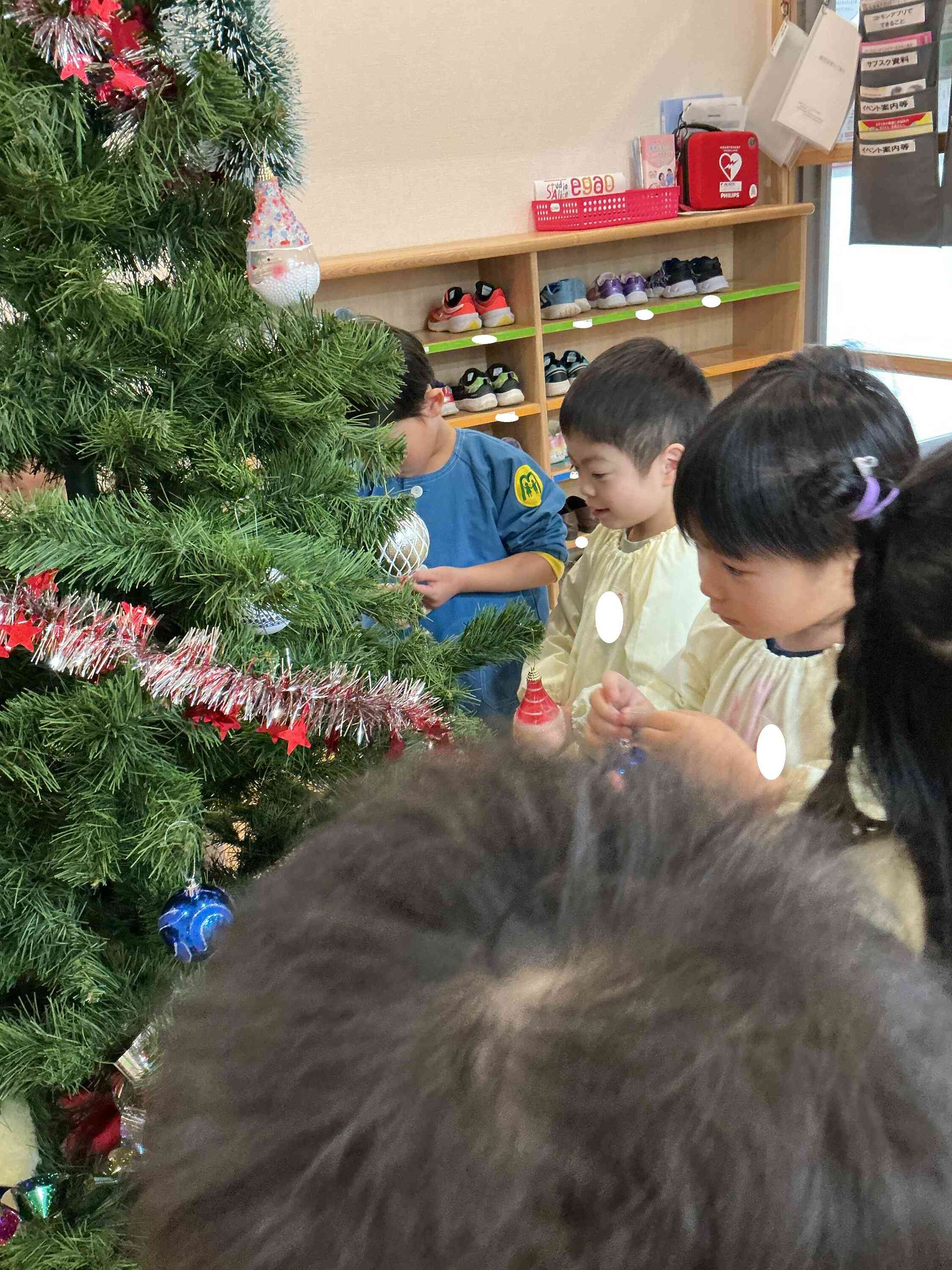 クリスマスツリーを飾ったよ！