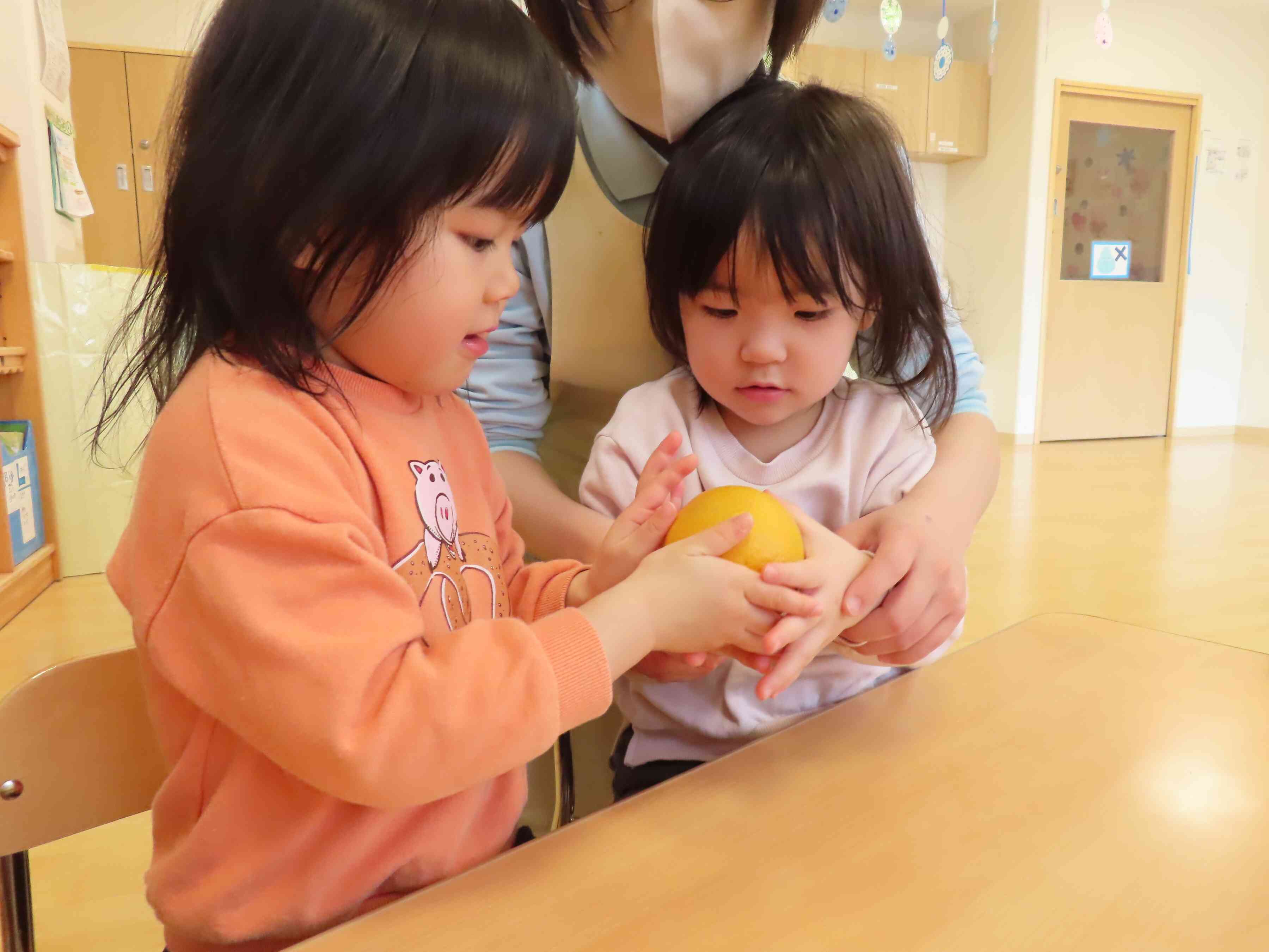 オレンジ触ってみたよ！