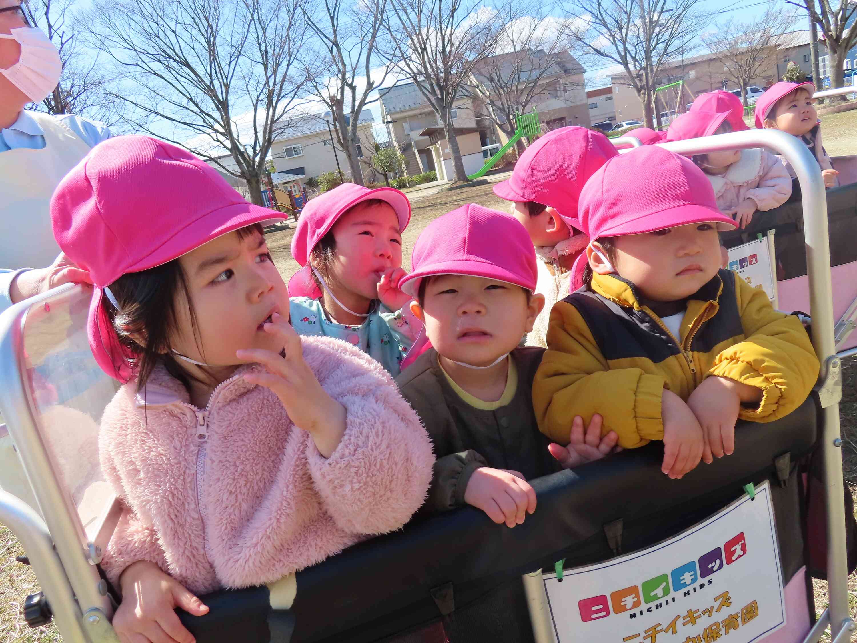 すずめさんいたね！