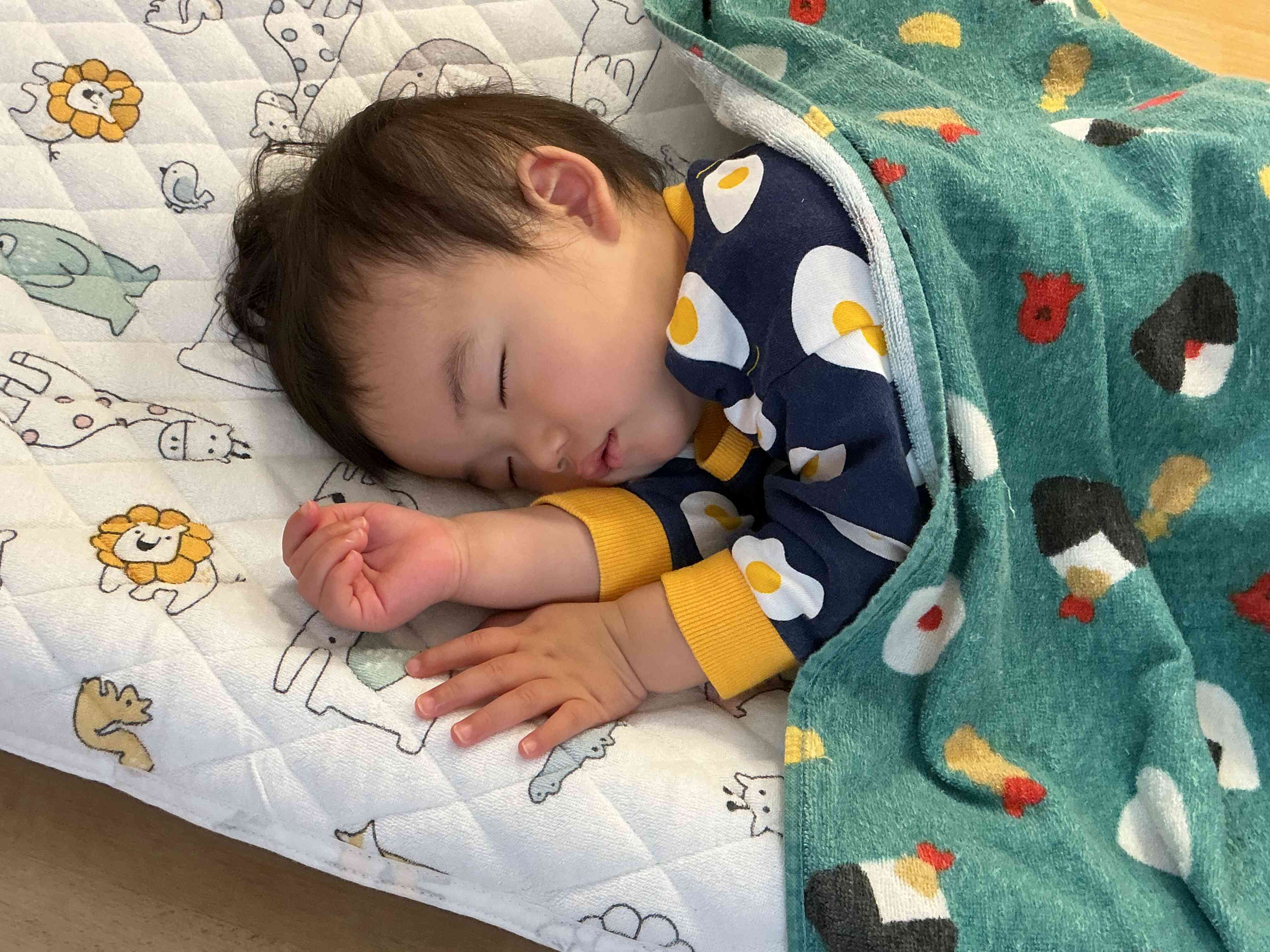 すやすや眠って気持ちよさそう