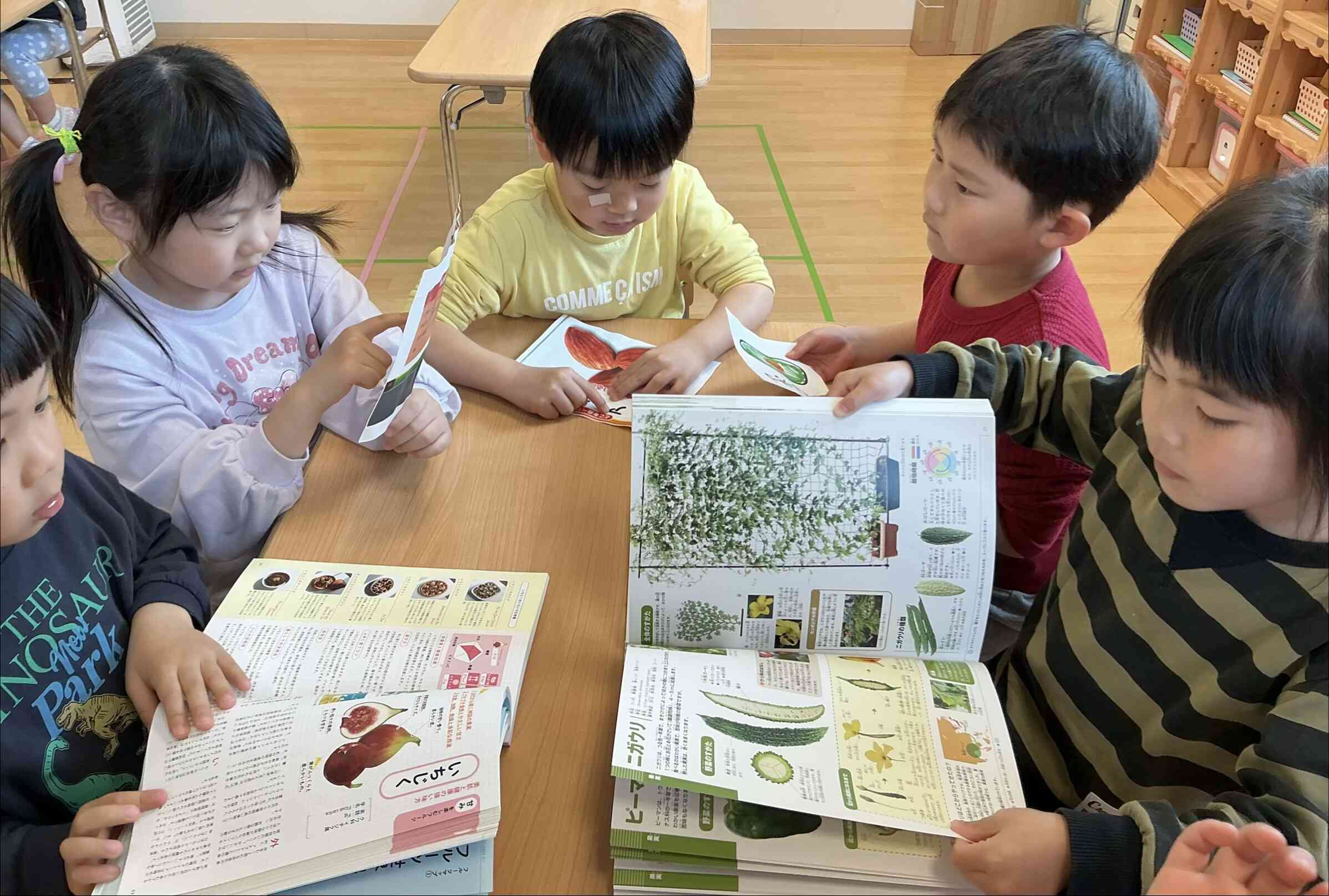 果物のおいしい季節が知りたい！
