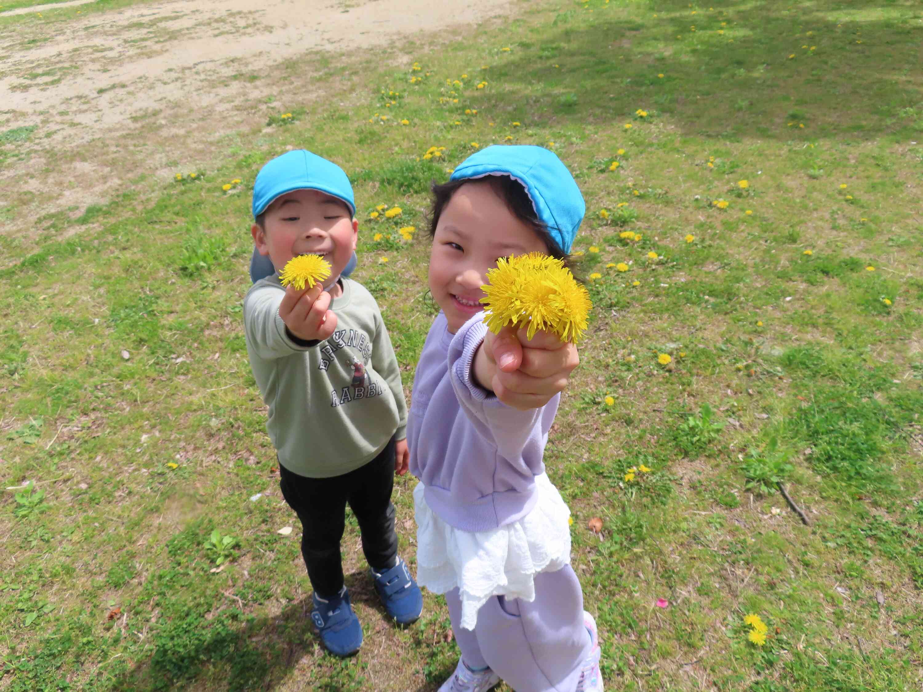 見てきれいでしょう