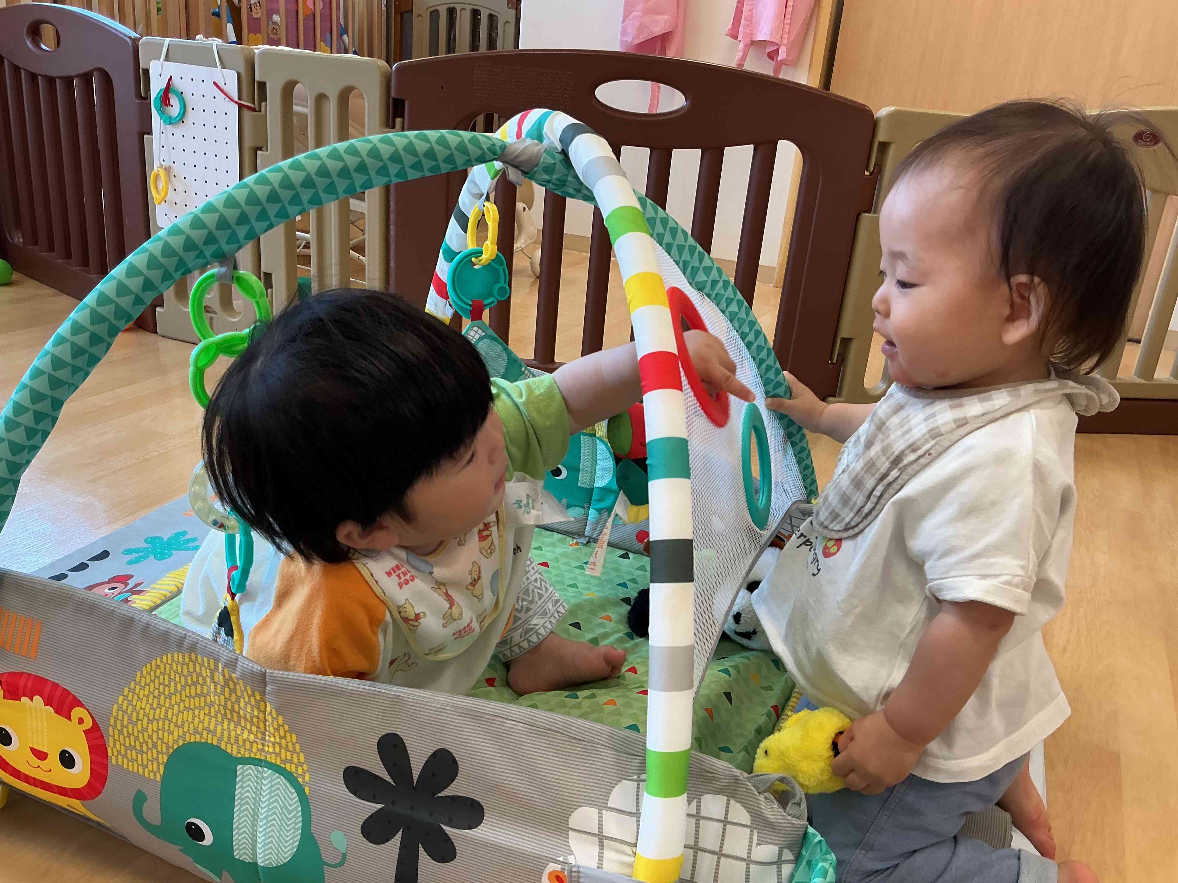 見てみて手が出せるよ