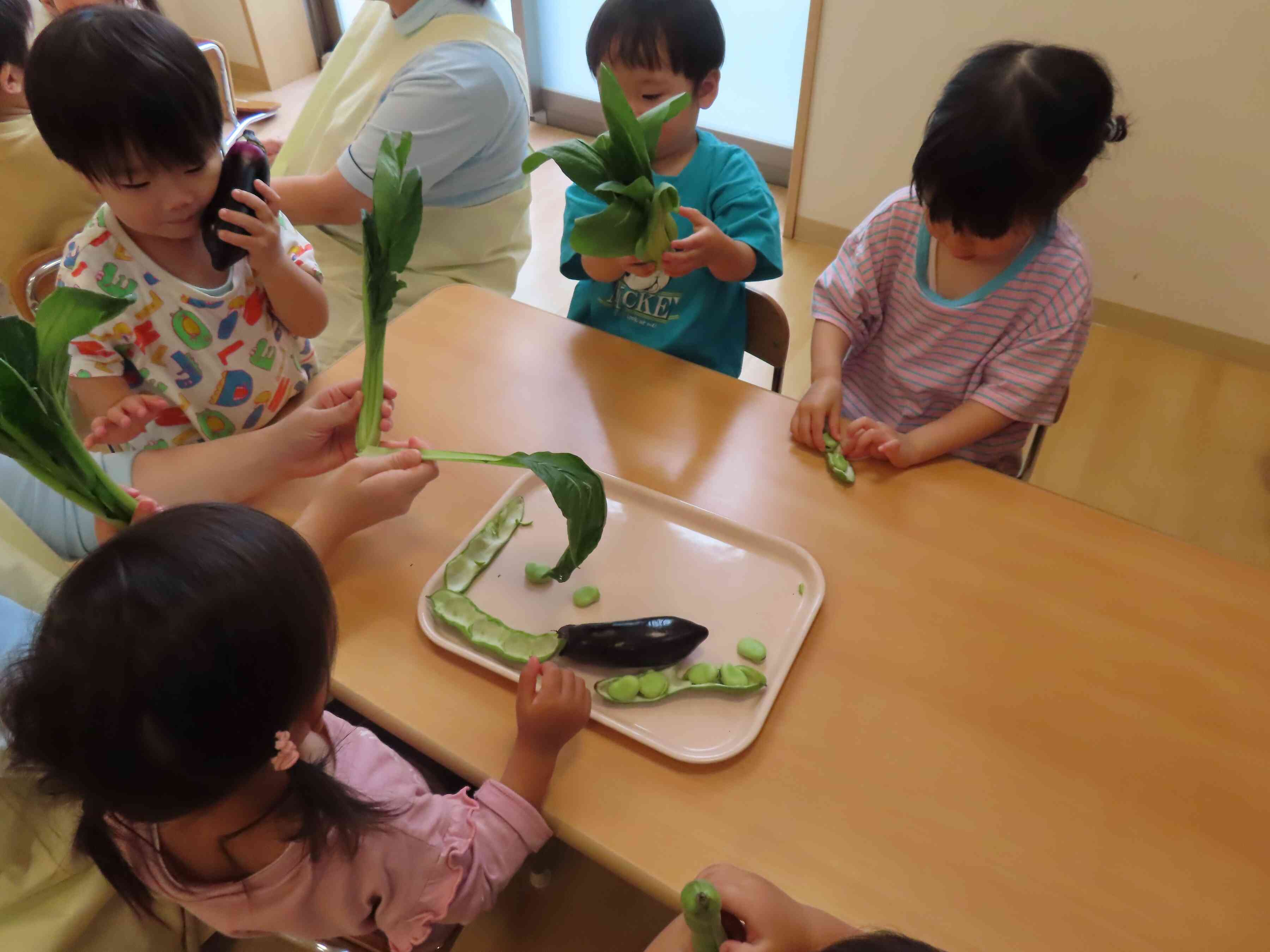 どんな野菜があるのかな？