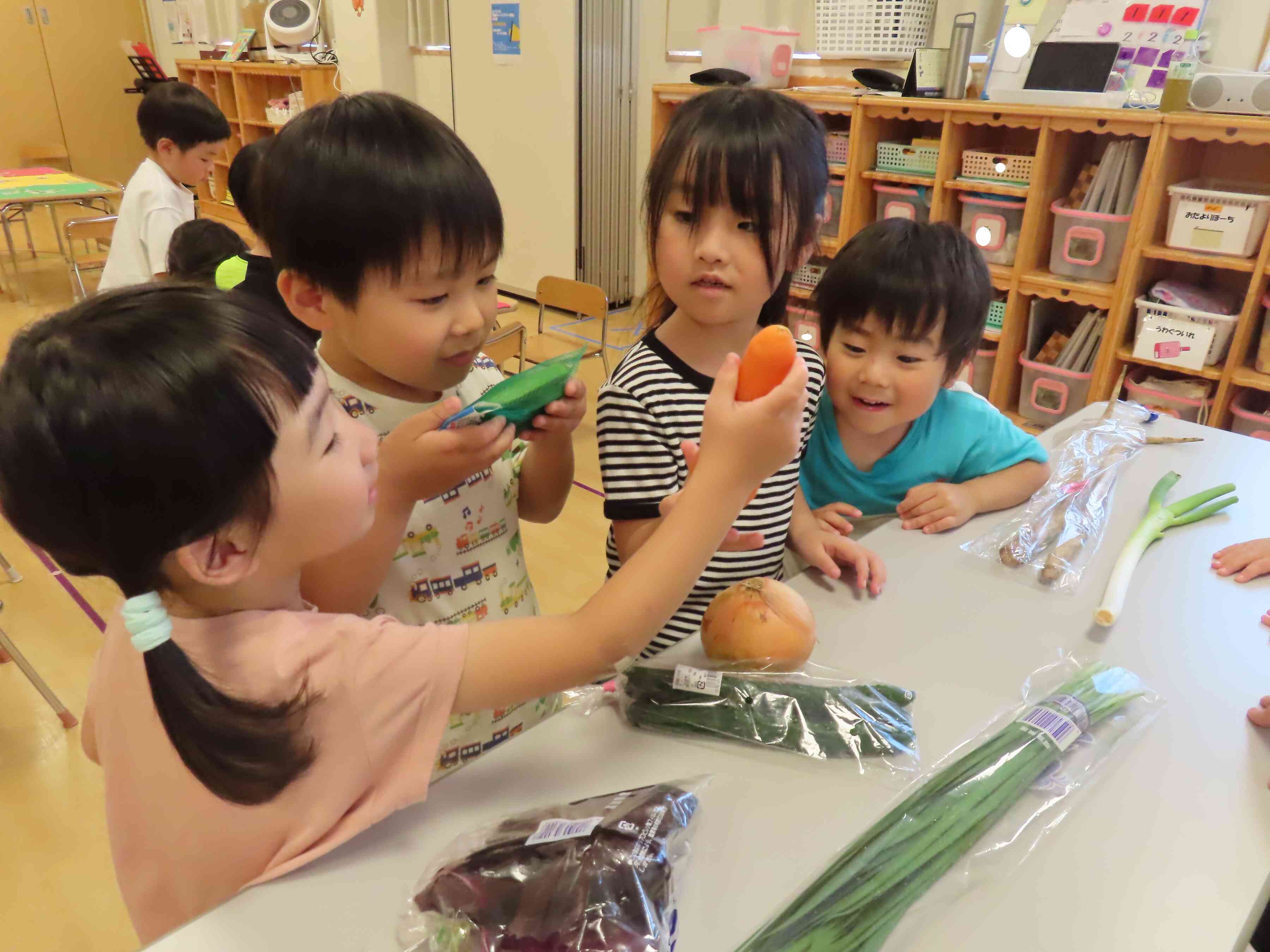 野菜をさわってみよう！