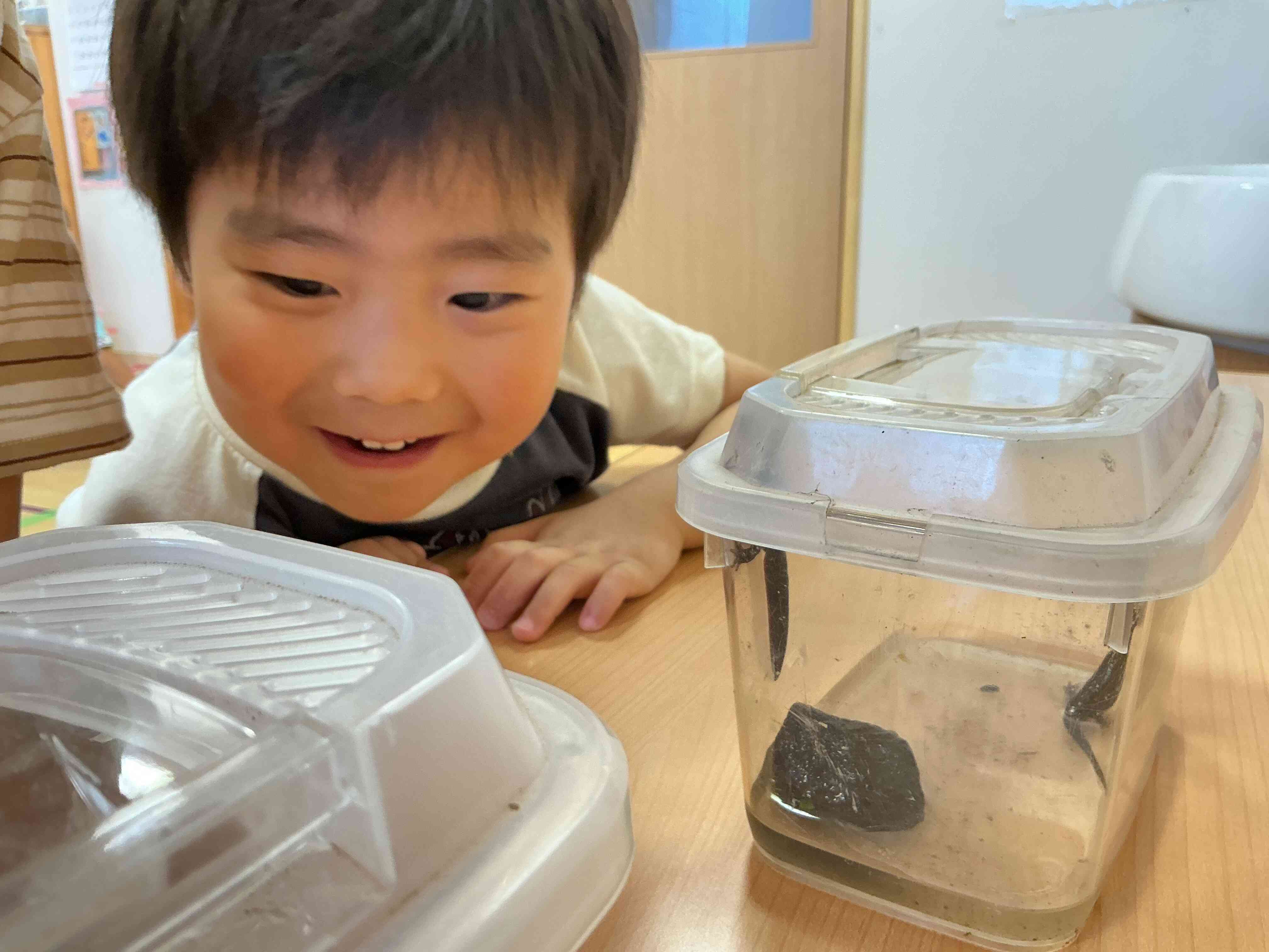 トカゲを観察！！
