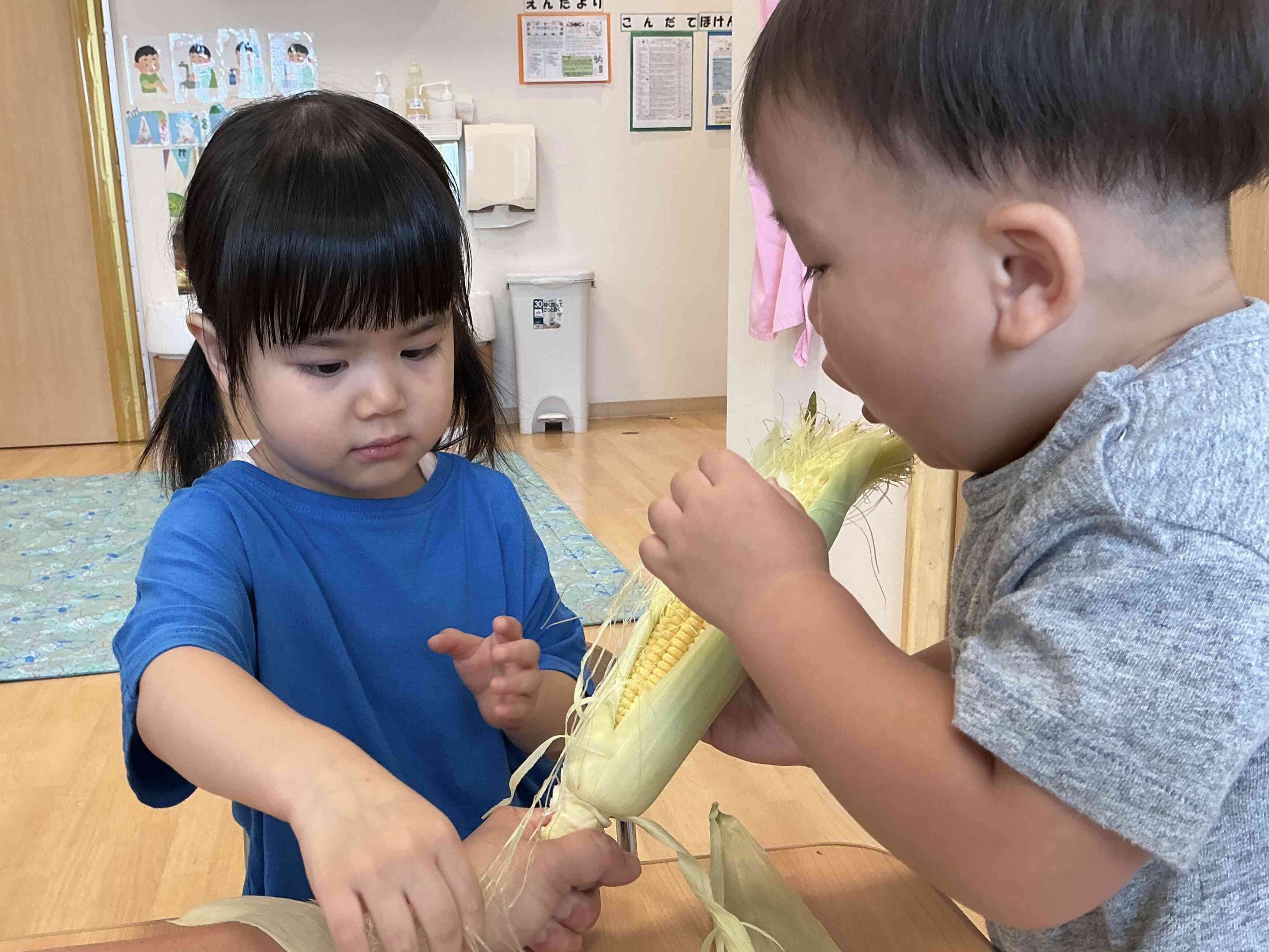 トウモロコシの皮を剥いてみよう！