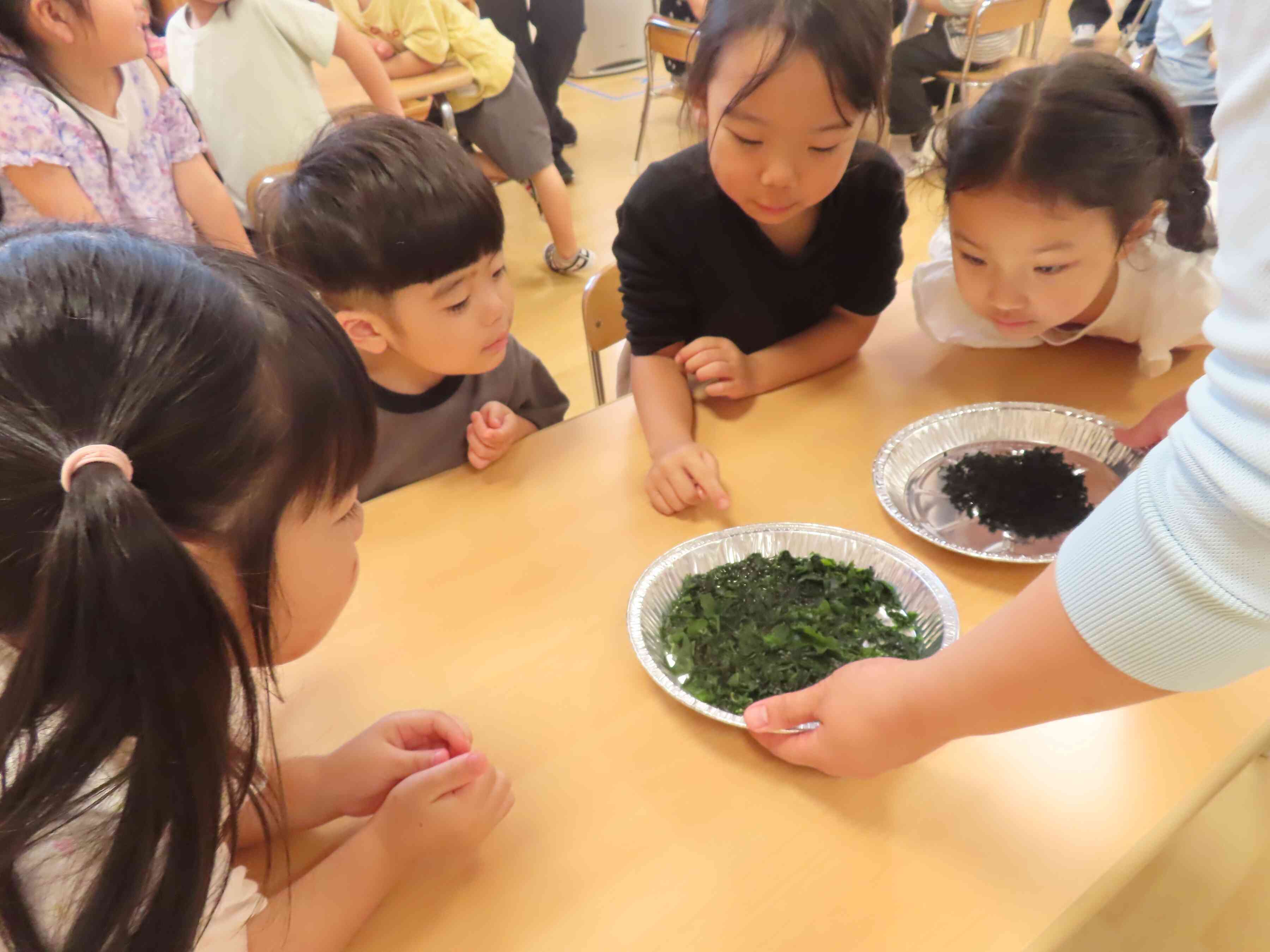 食育活動（導入）～海藻について～