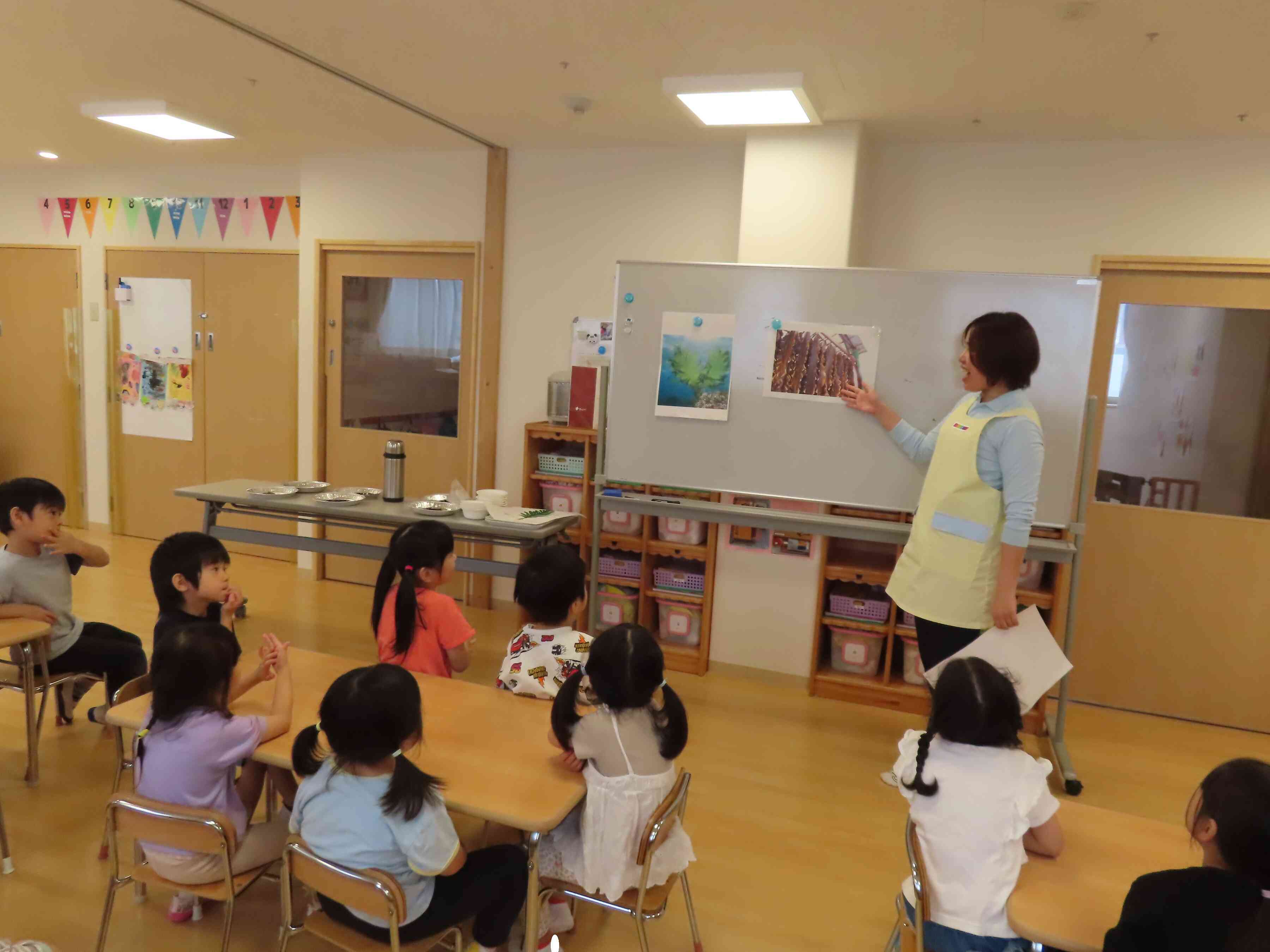 海藻ってなに？
