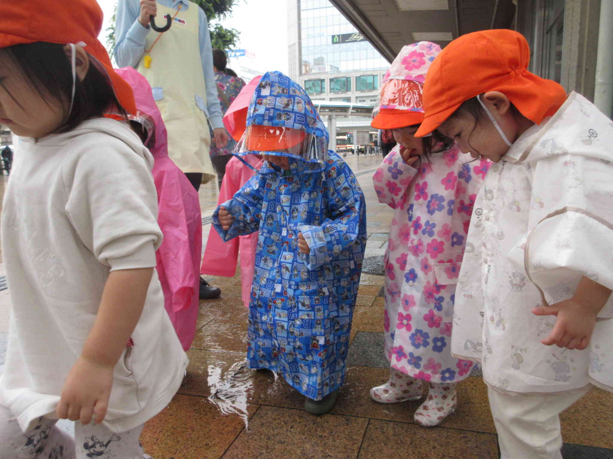 梅雨といえば、雨♬