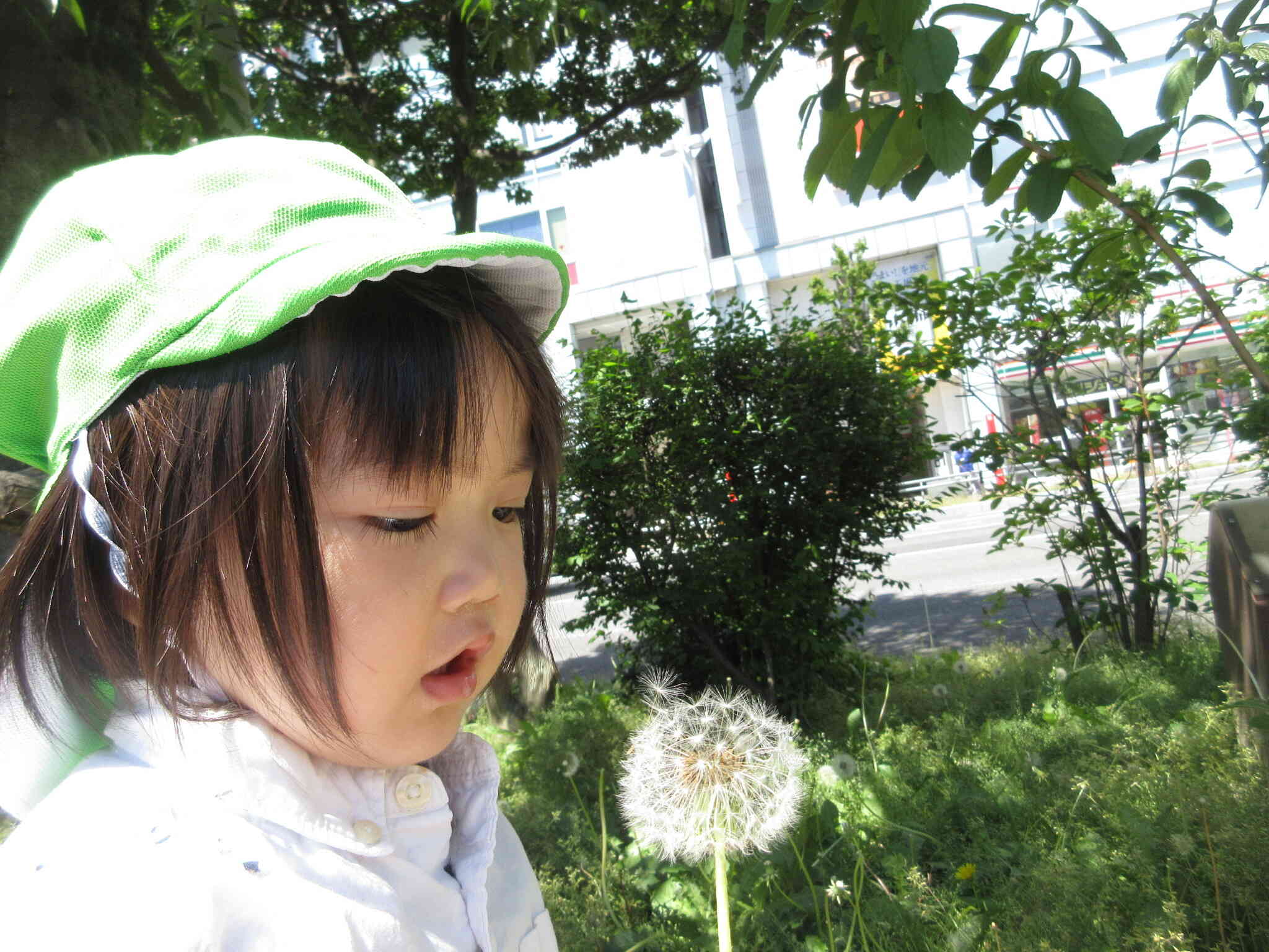 せーのっ！