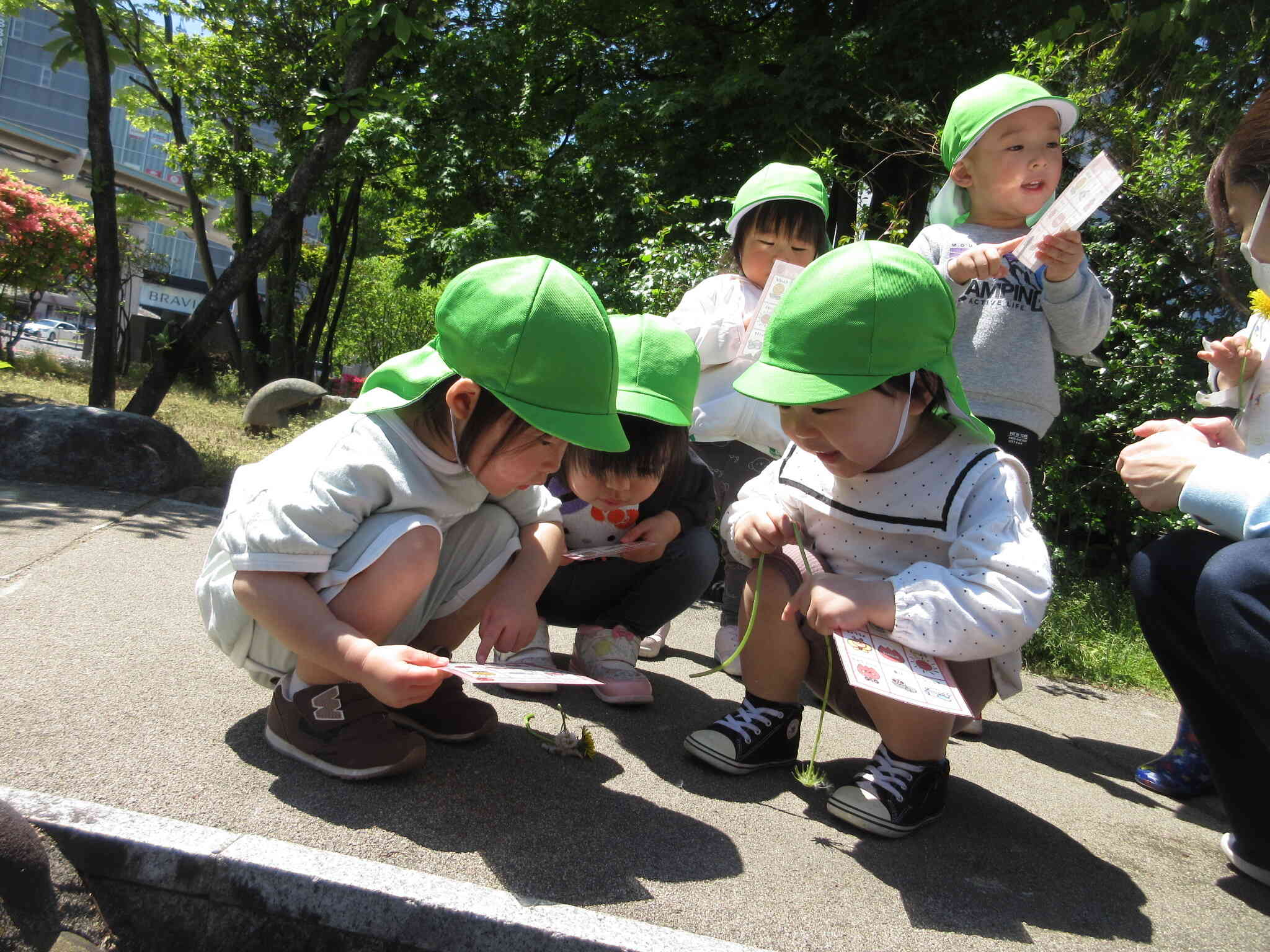 太陽ってキラキラしてるね！