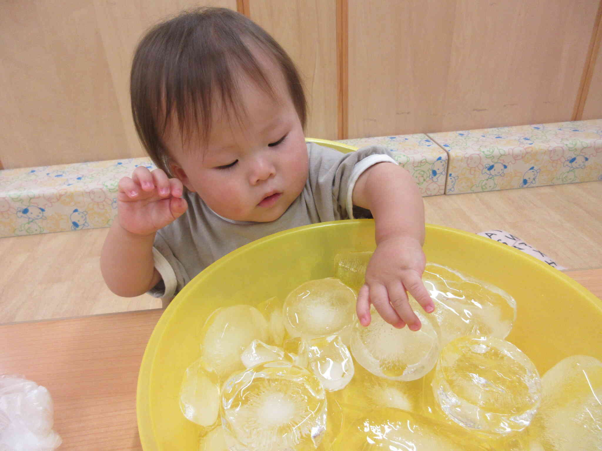 あひる組さんから借りた「氷」冷たいな～！