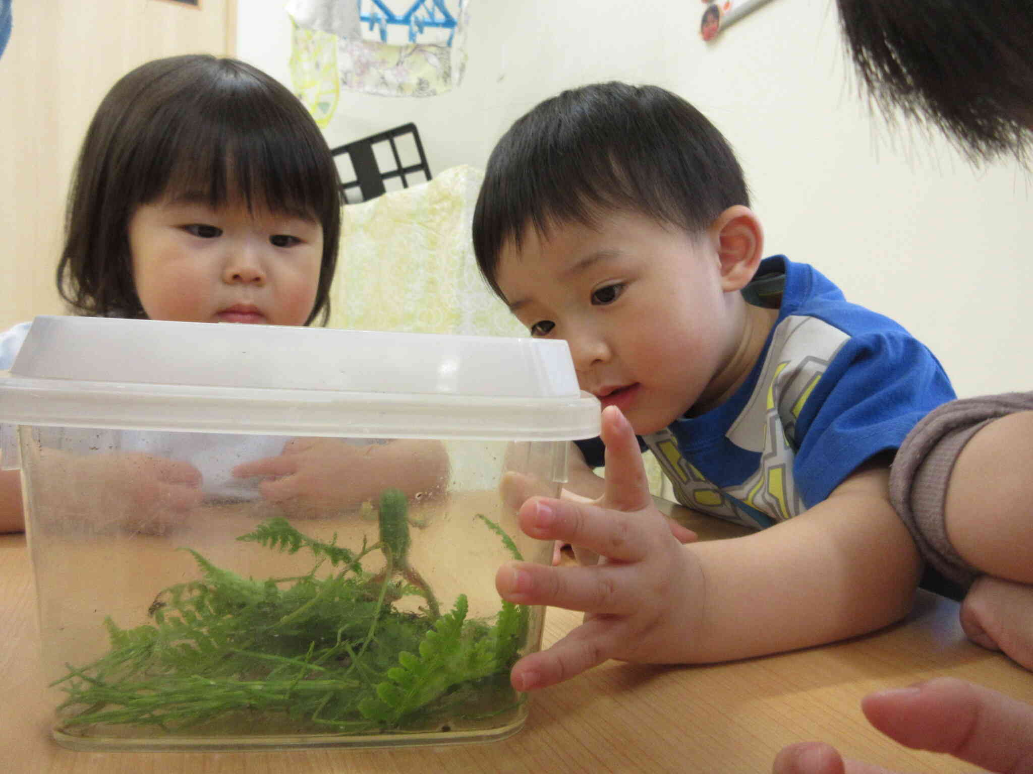 生き物大好き！