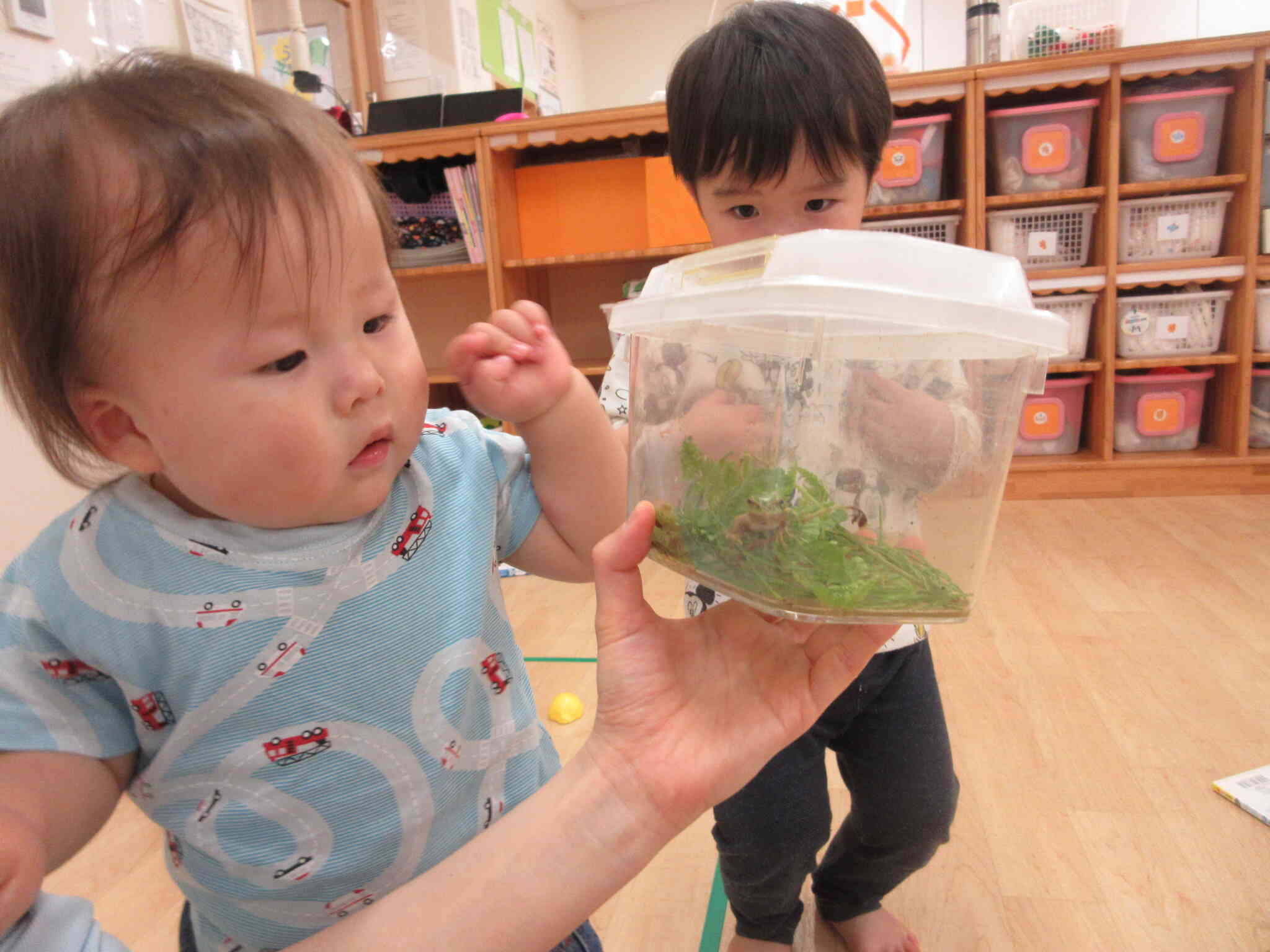 6月のひよこ組（0歳児）の様子☆彡
