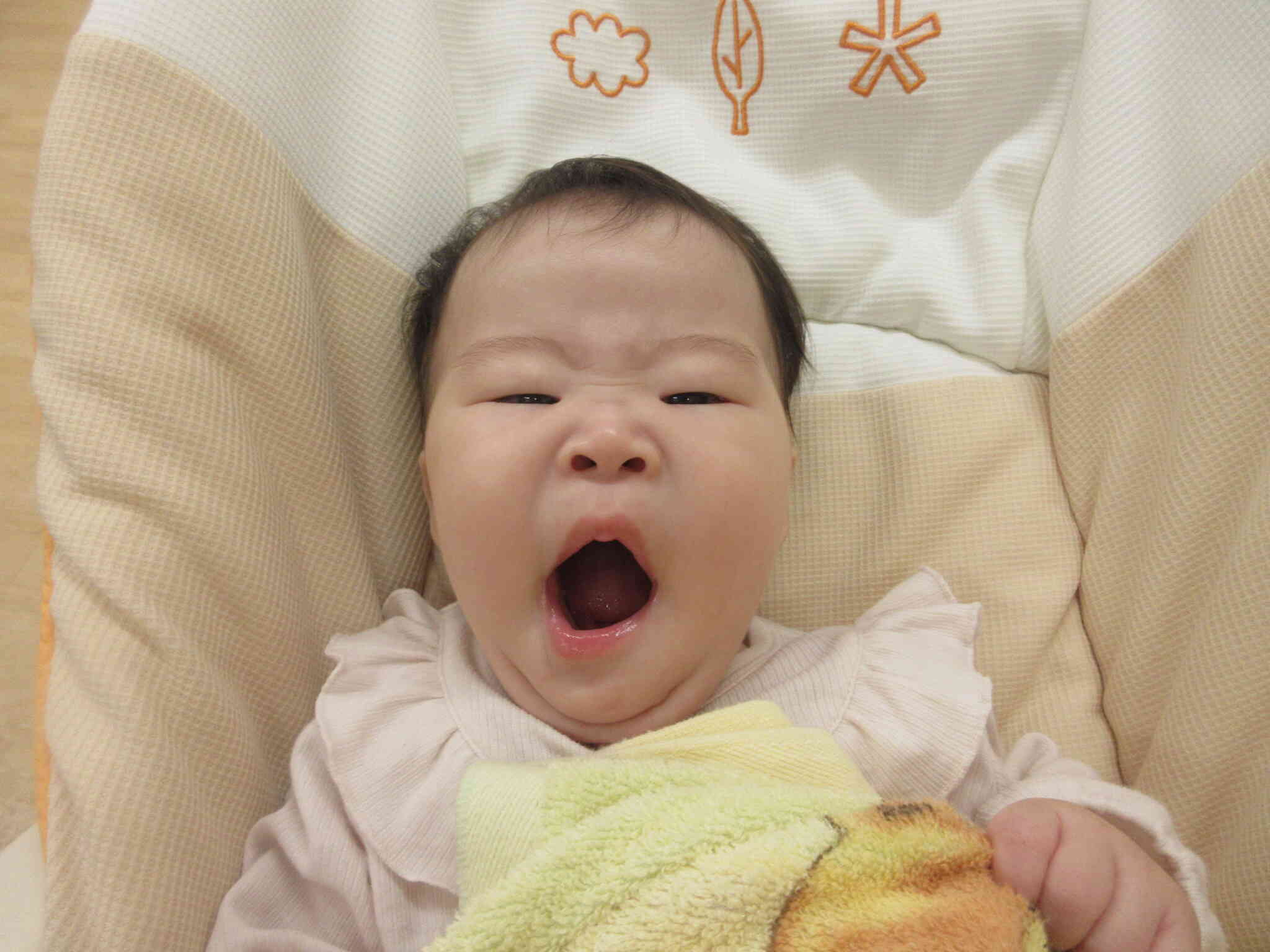 安心して、大きなあくびがでたよ♪