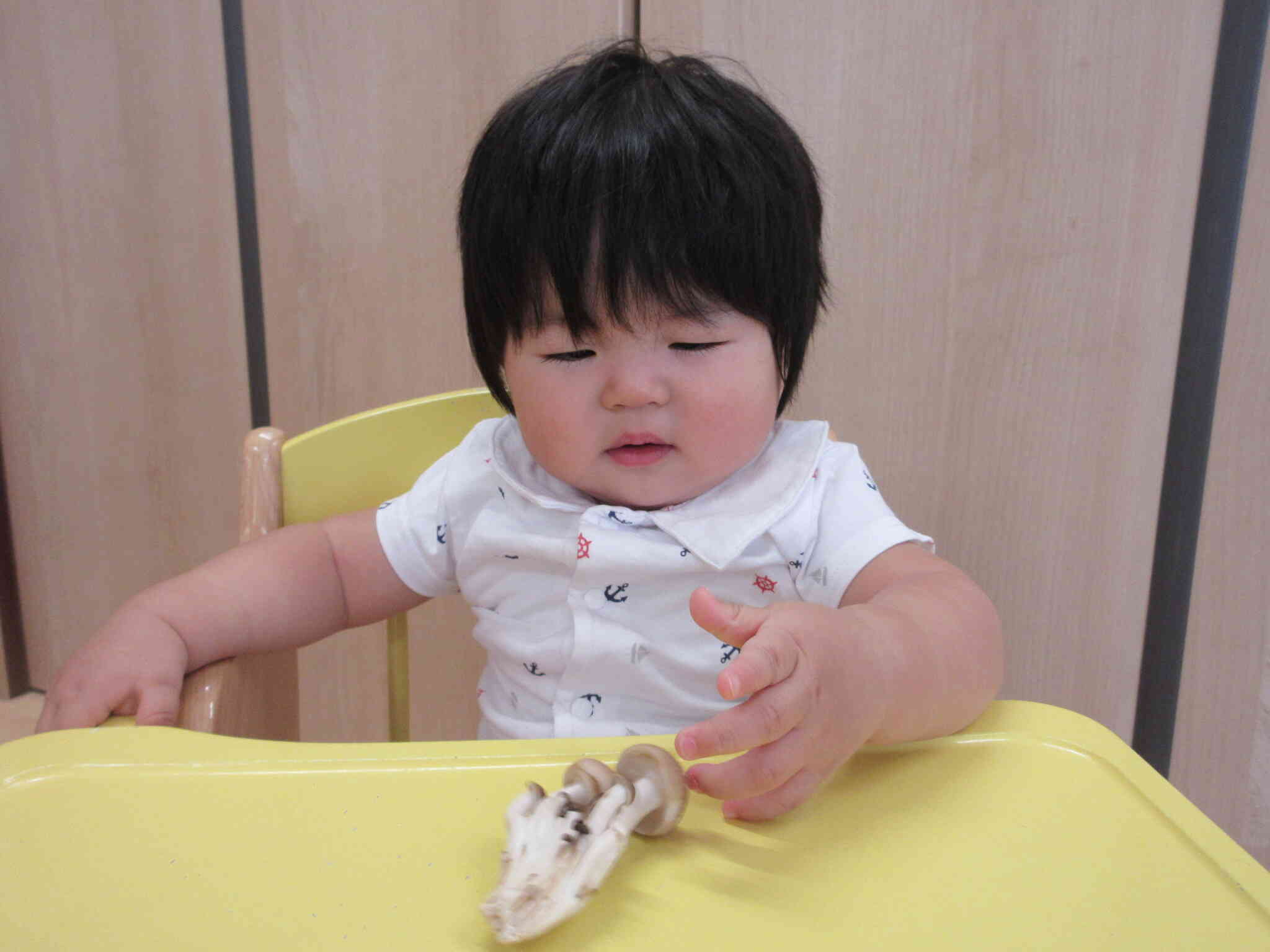 きのこ初めて触ったよ！