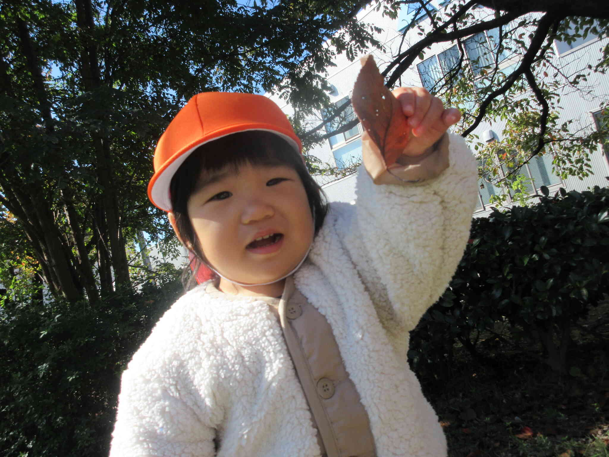 葉っぱあったよ！