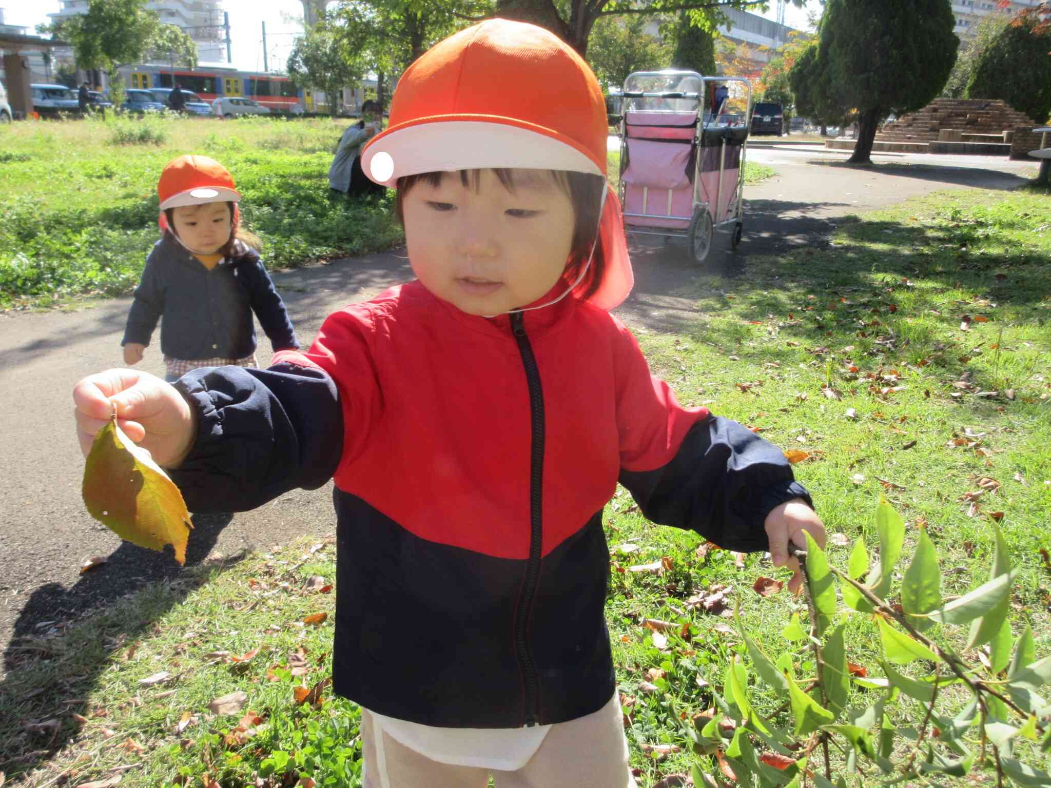 秋の公園で落ち葉やどんぐりを拾ったよ！