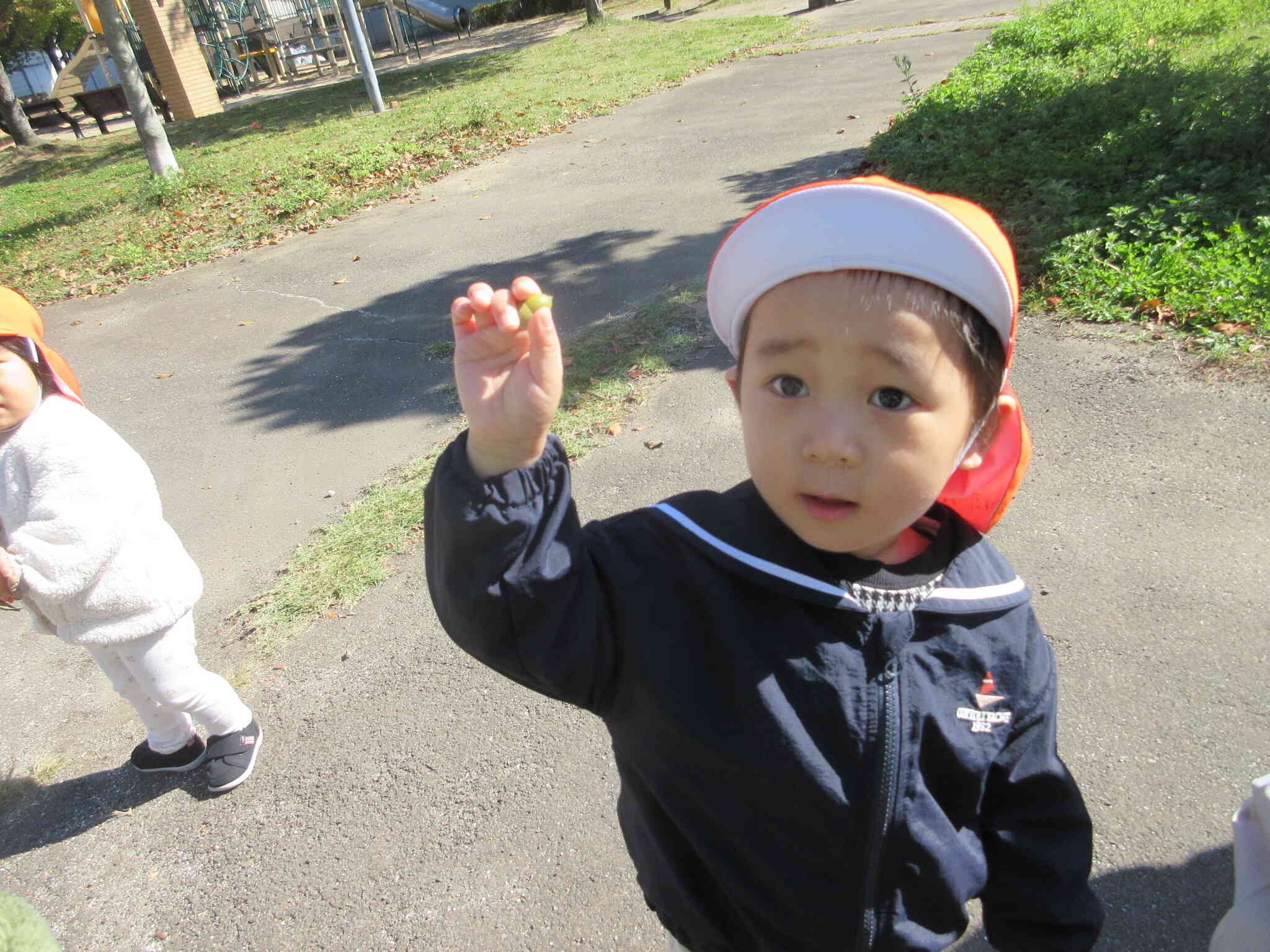 どんぐりだー！