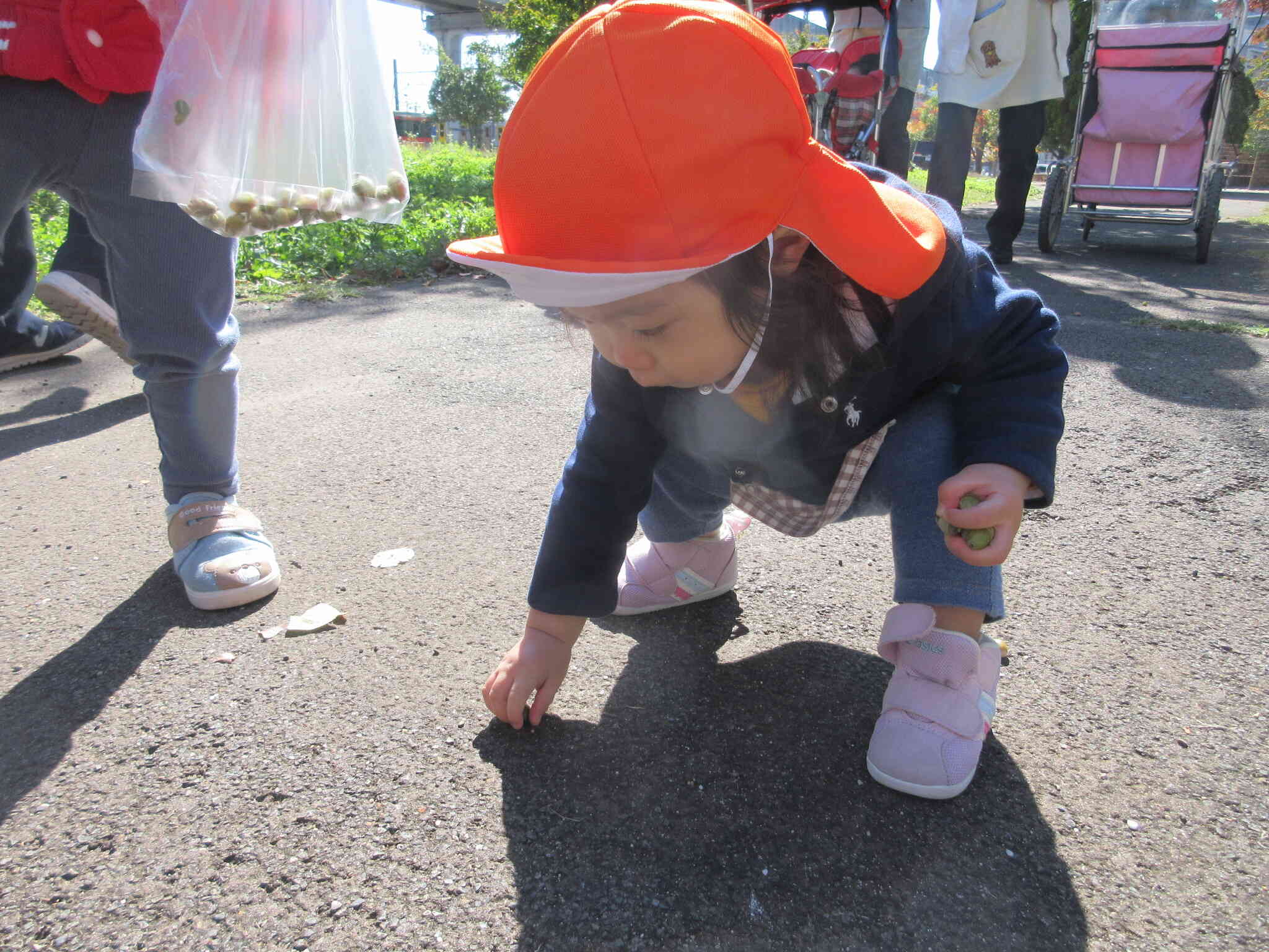 よいしょ、よいしょ