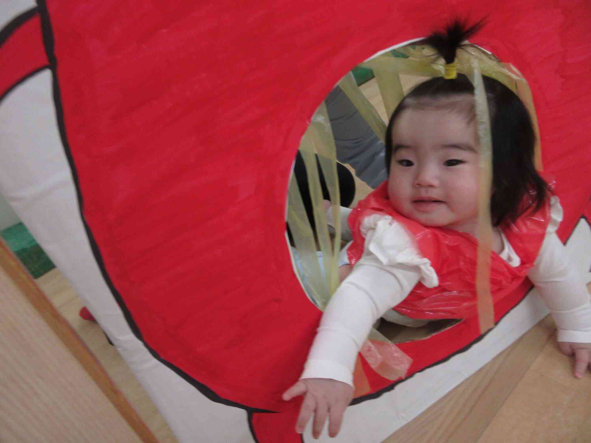 ひよこ組（0歳児）さんはだるまさんになったよ♡