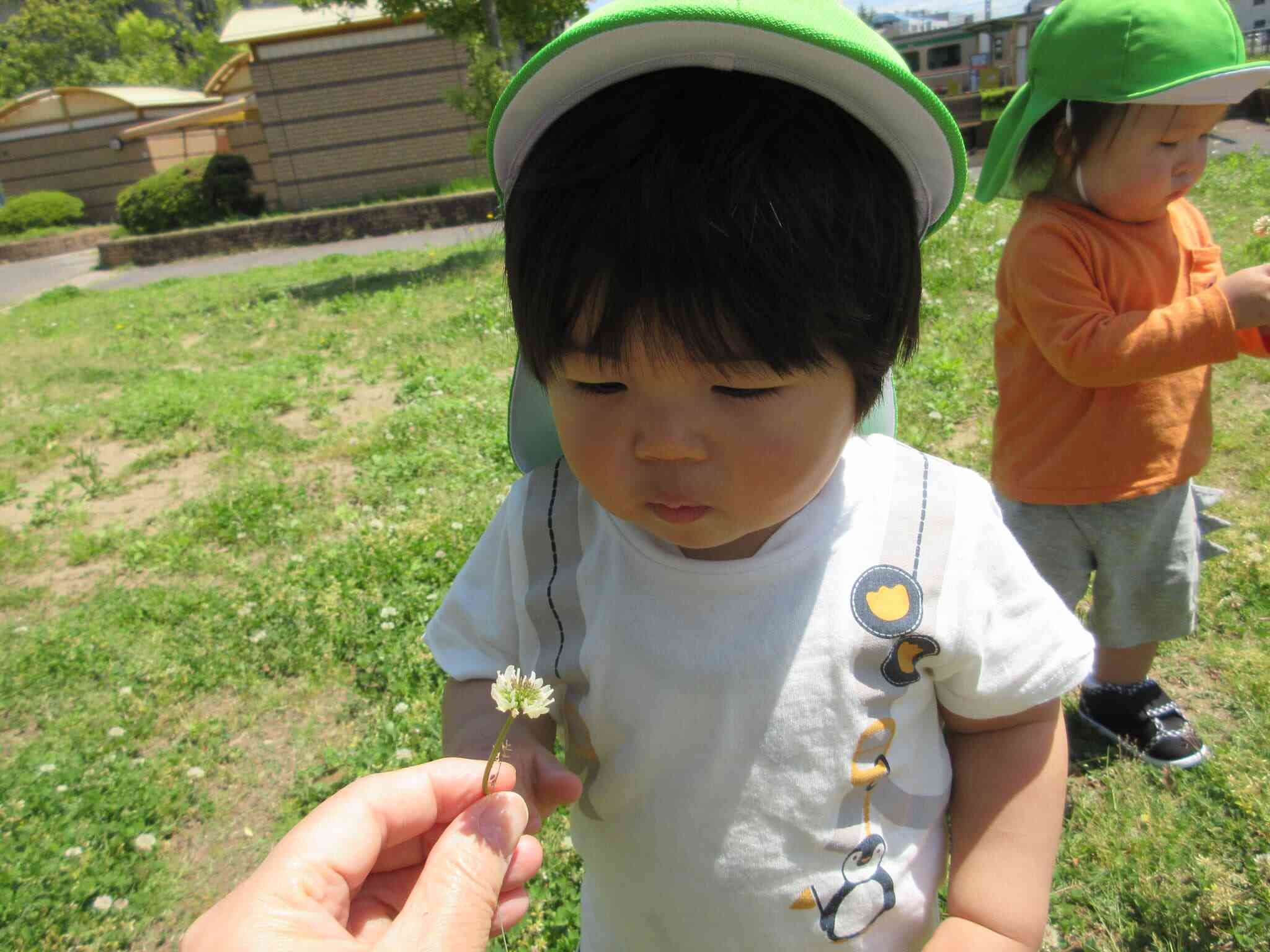なんのお花だろう？