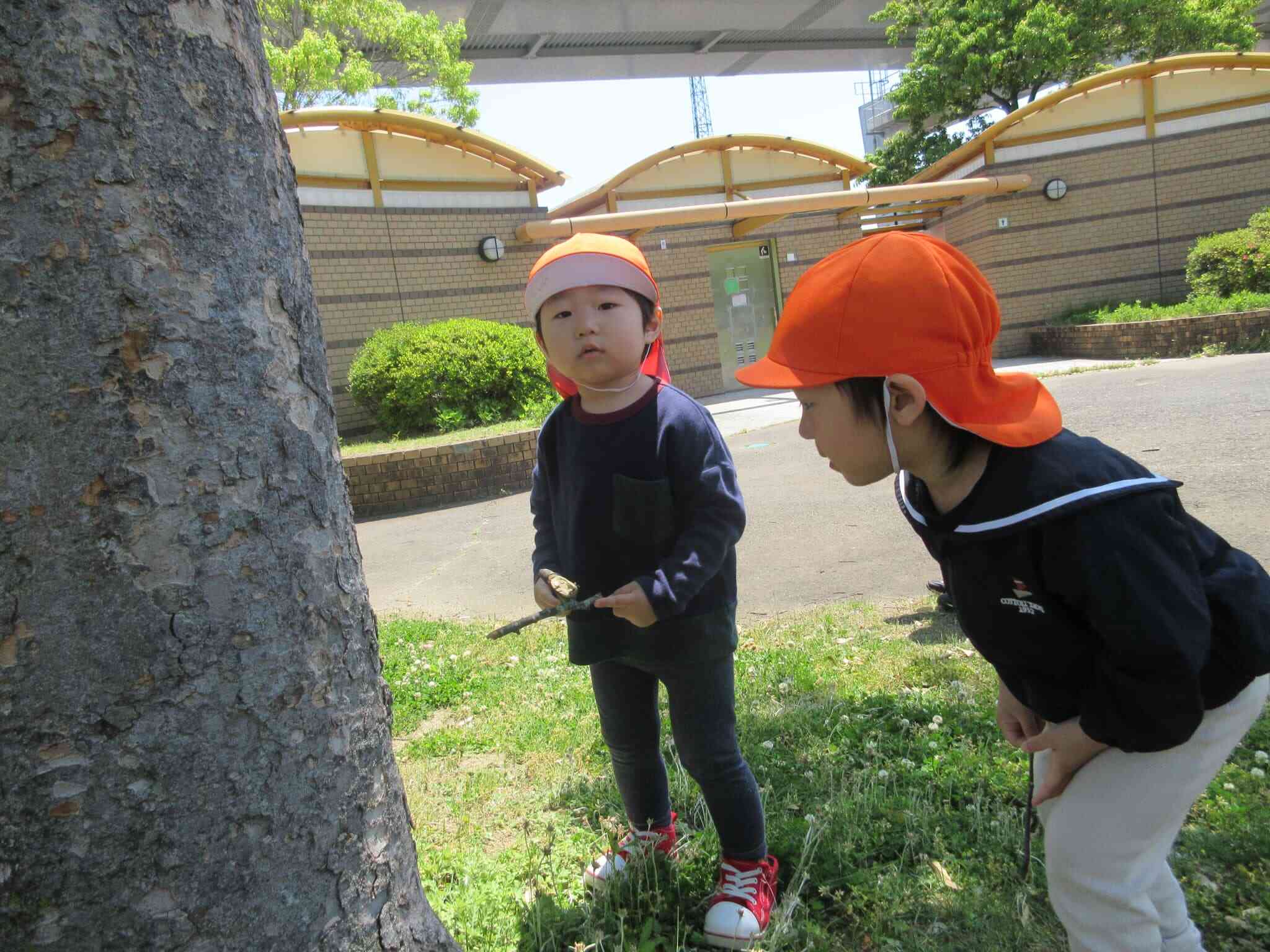 何が見えるかな～？