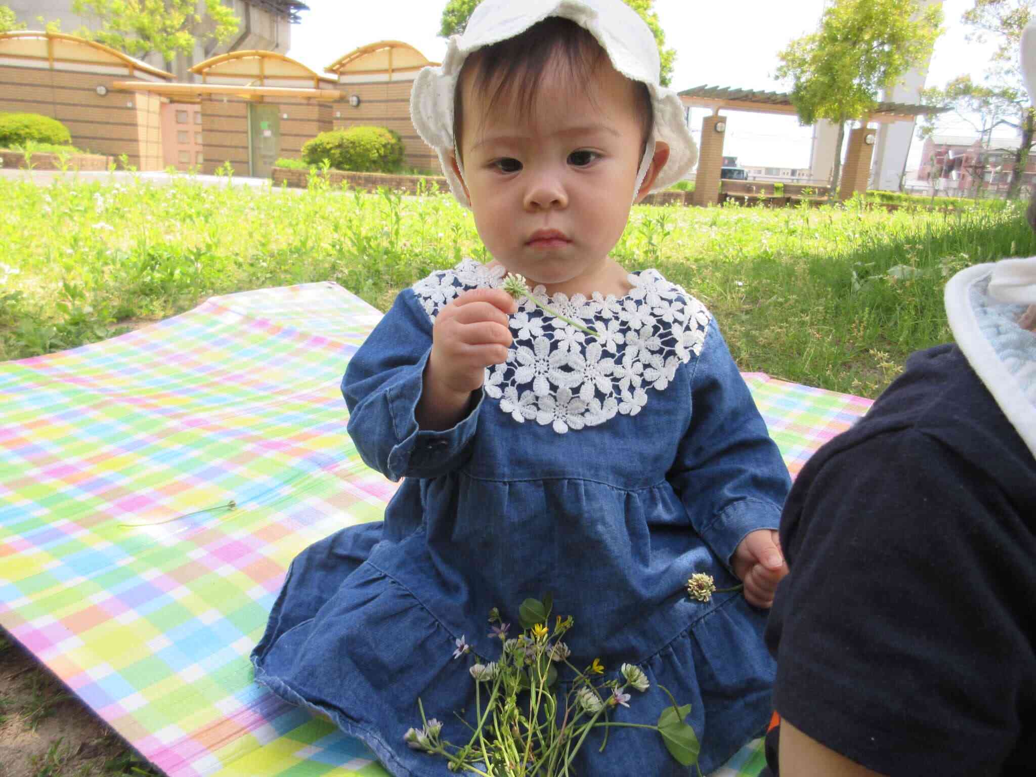 このお花は何だろう？