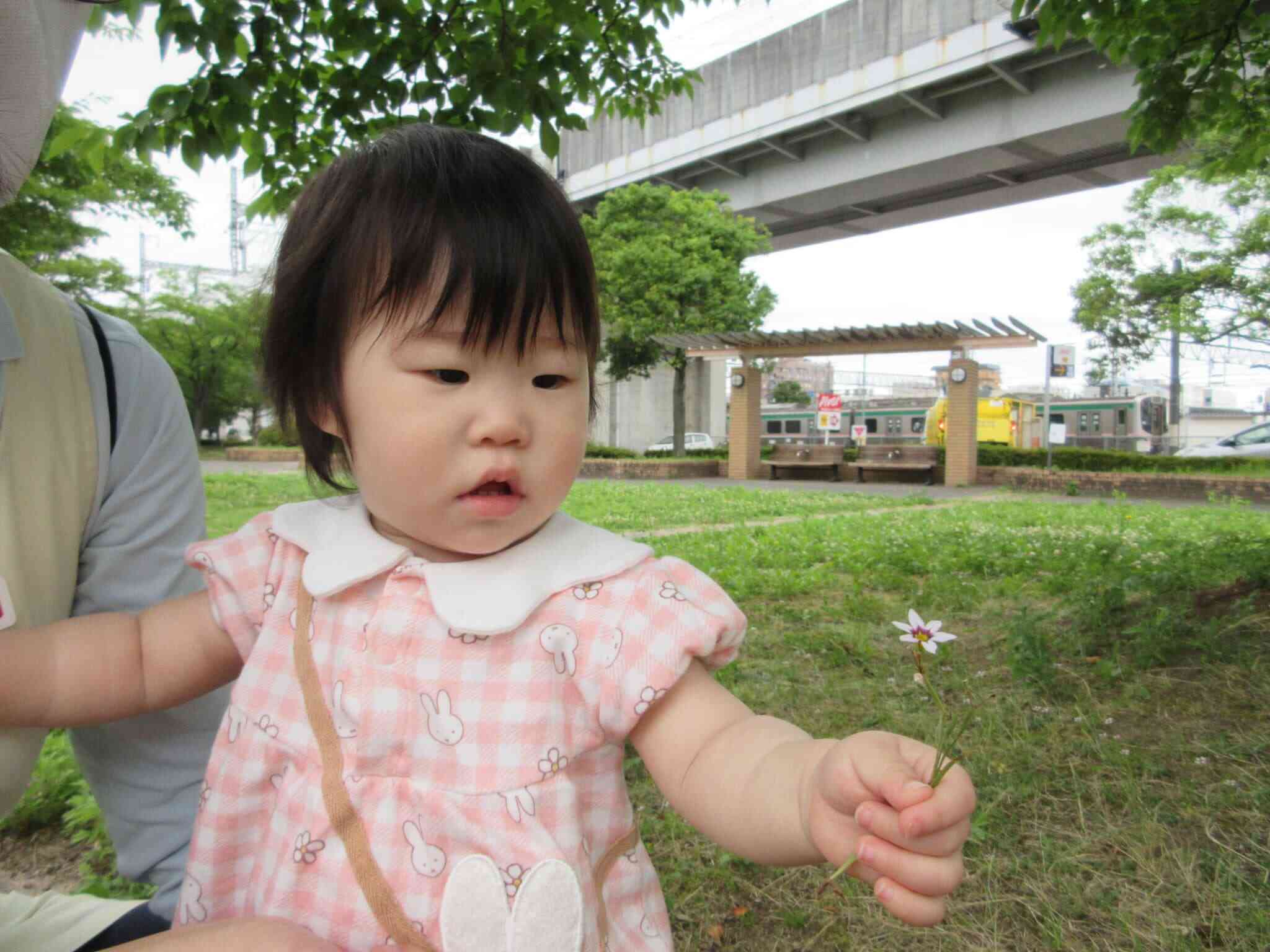 6月のひよこ組の様子