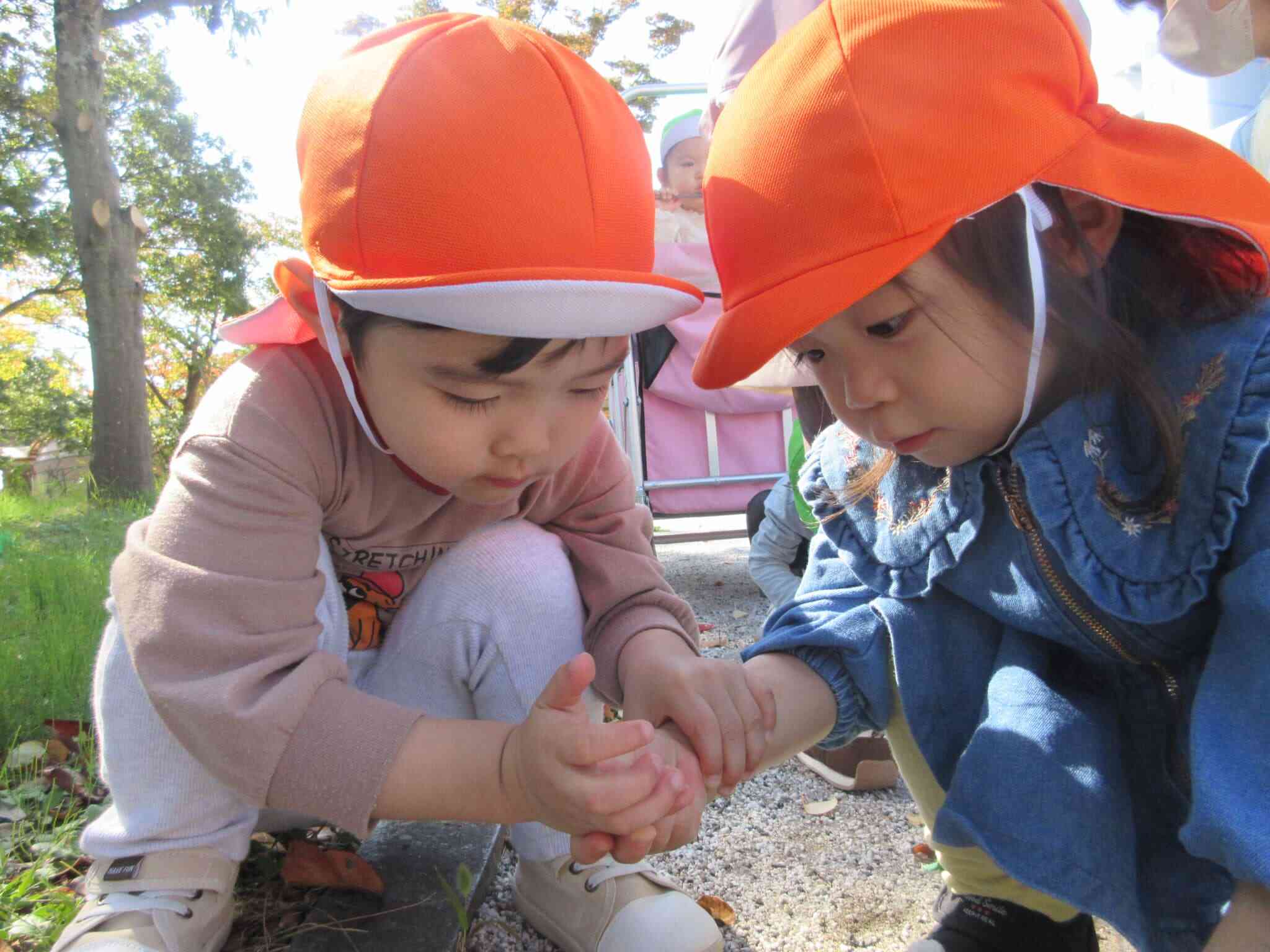 仲良くどんぐり拾い♡