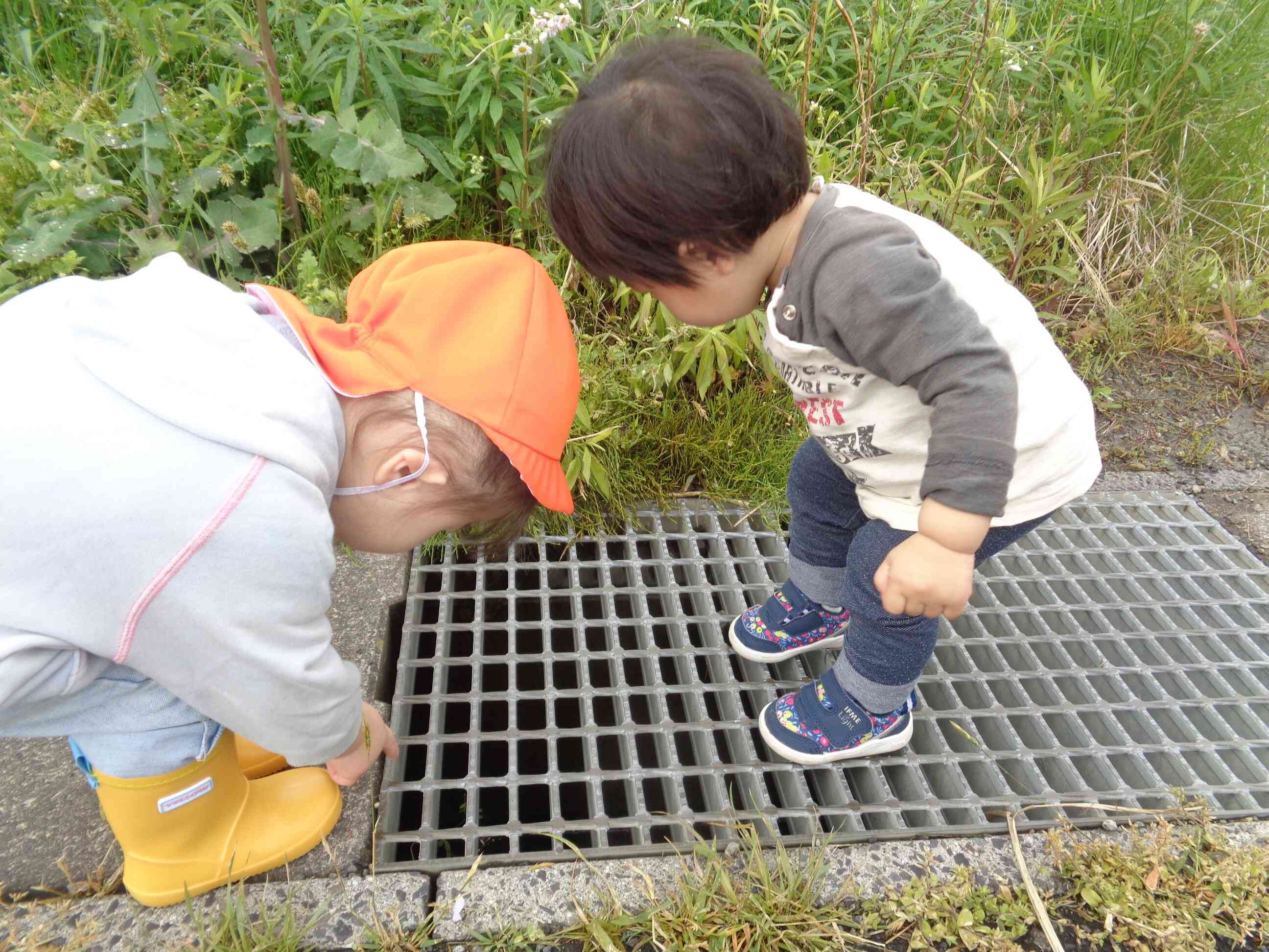 のぞいてみよう!