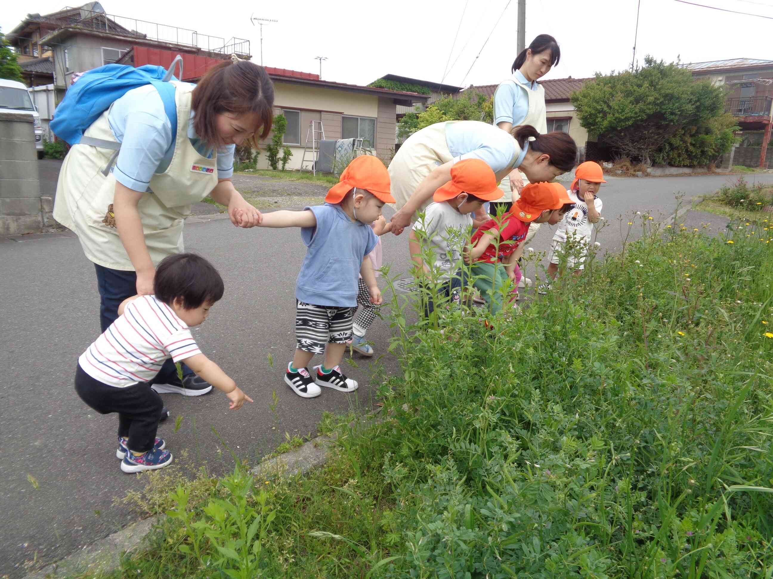 なにかいるよ！！