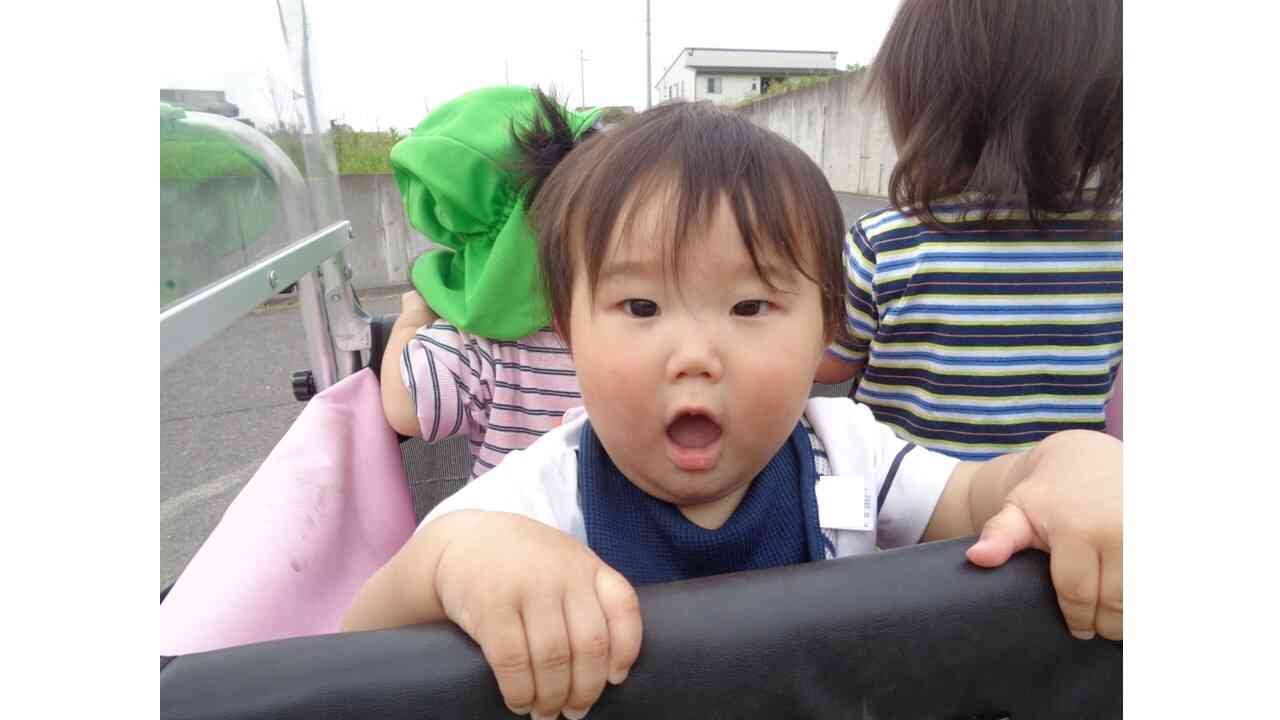 お！散歩車動いた！！