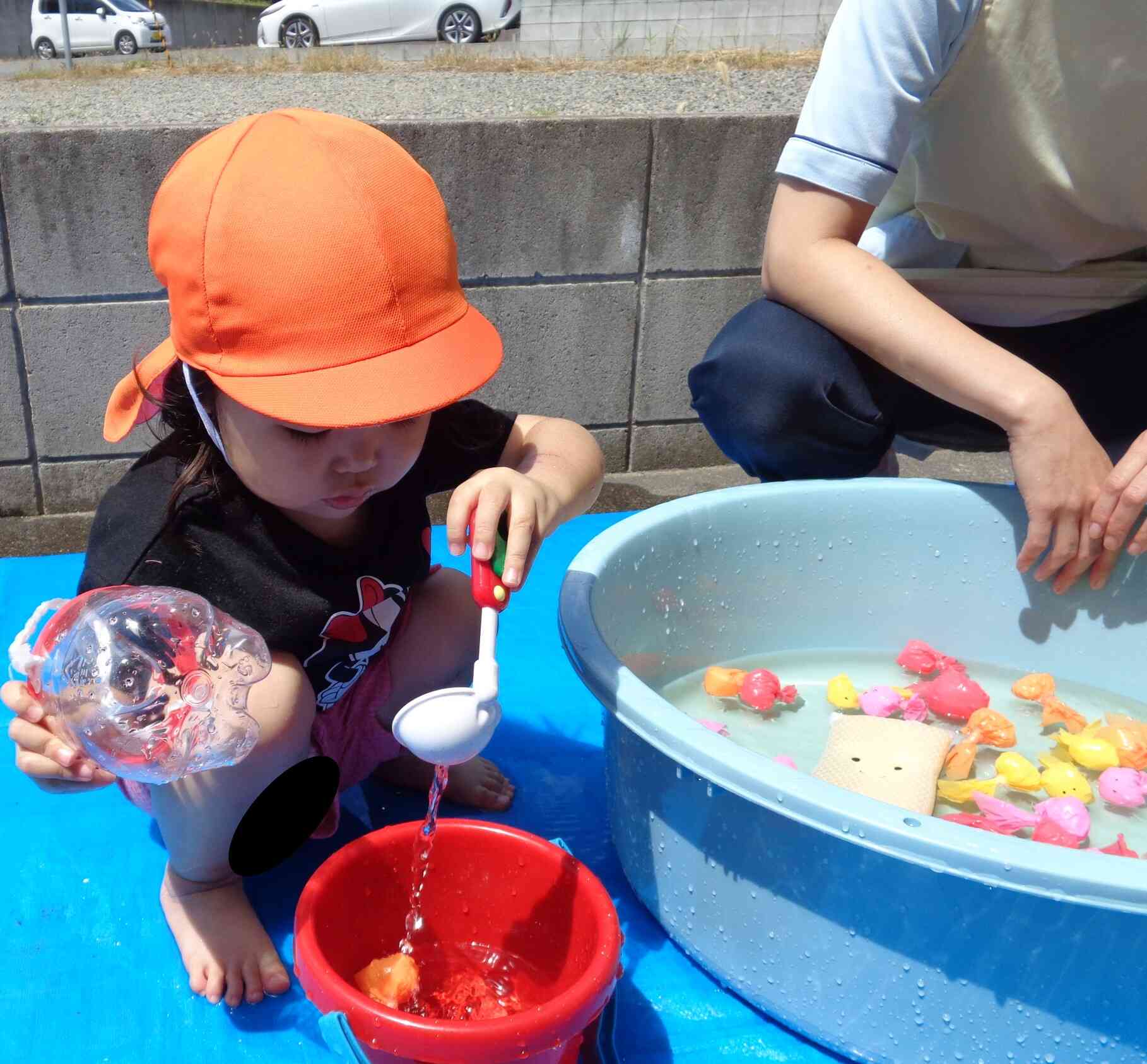 金魚もお水もすくうの楽しい