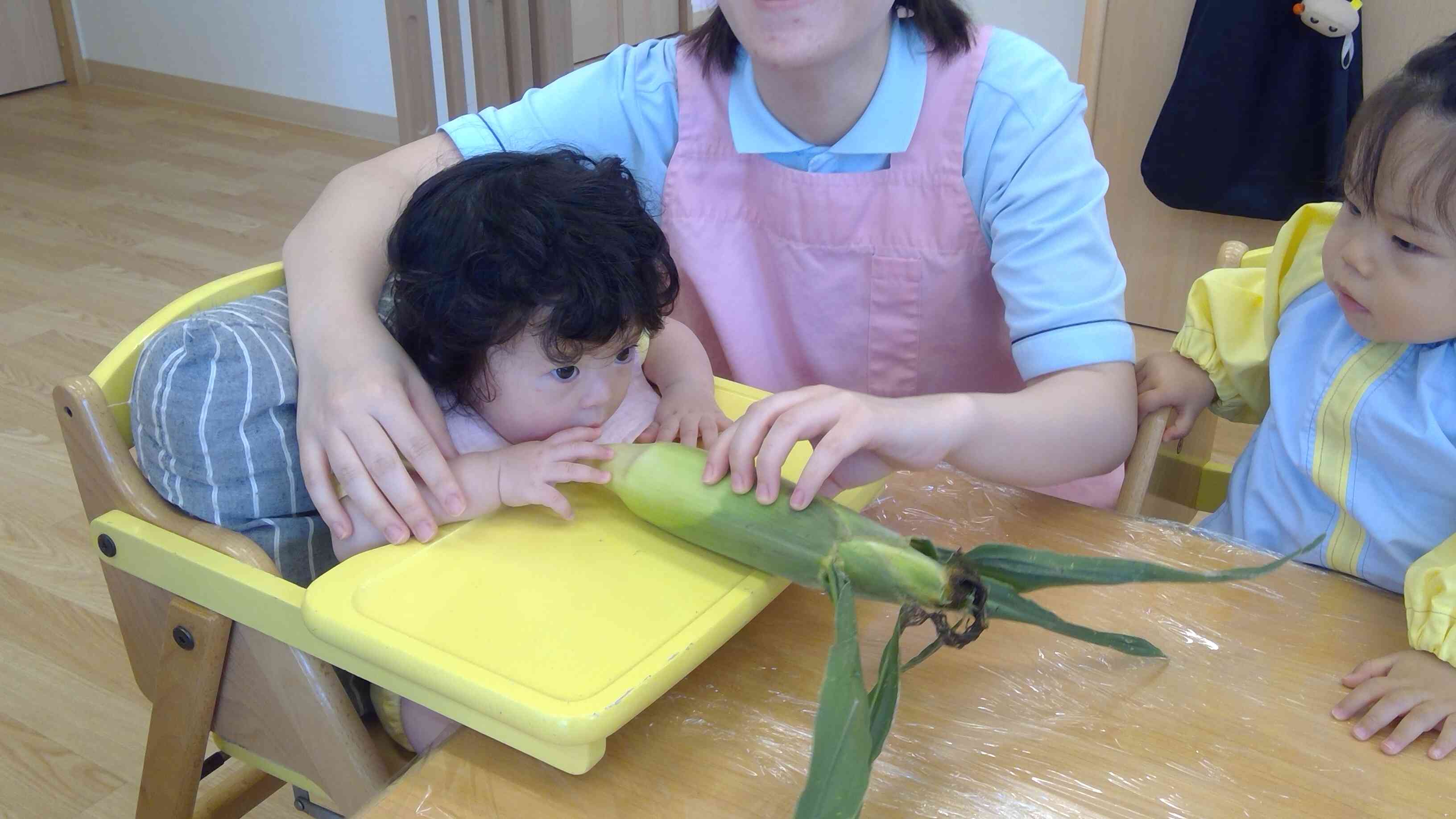 ひよこ組（0歳児）さんも興味津々！