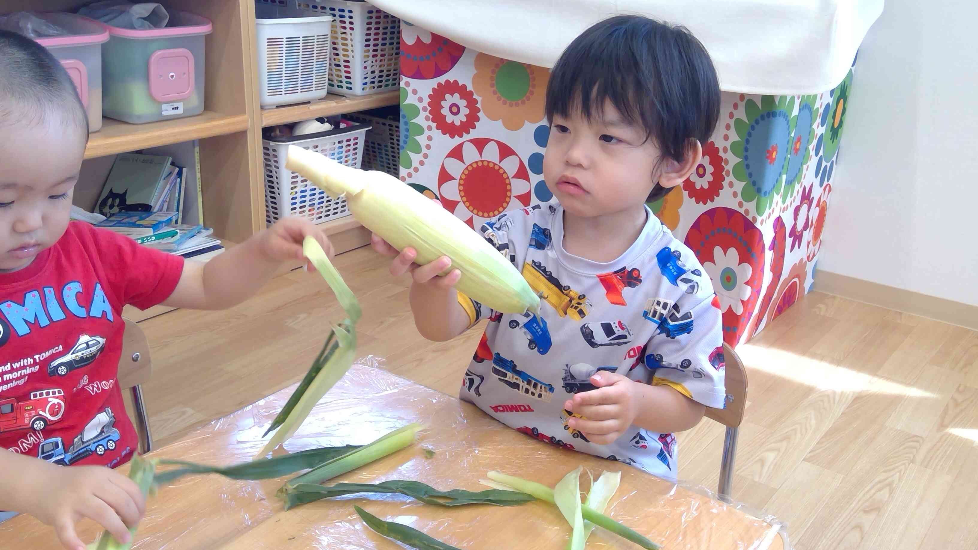まだトウモロコシがでてこないよ！