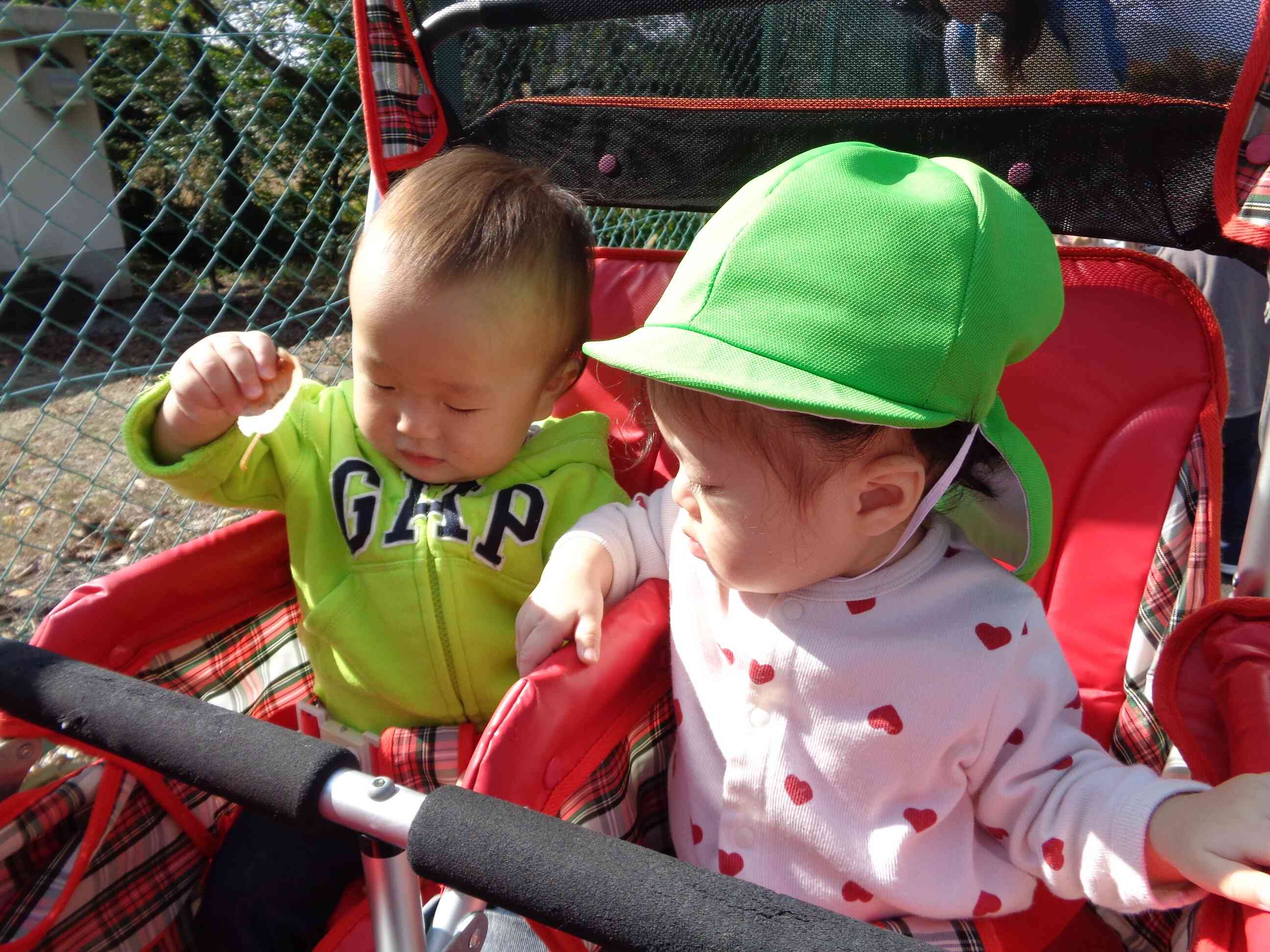 ひよこ組さん(0歳児)も葉っぱを触ってみたよ!