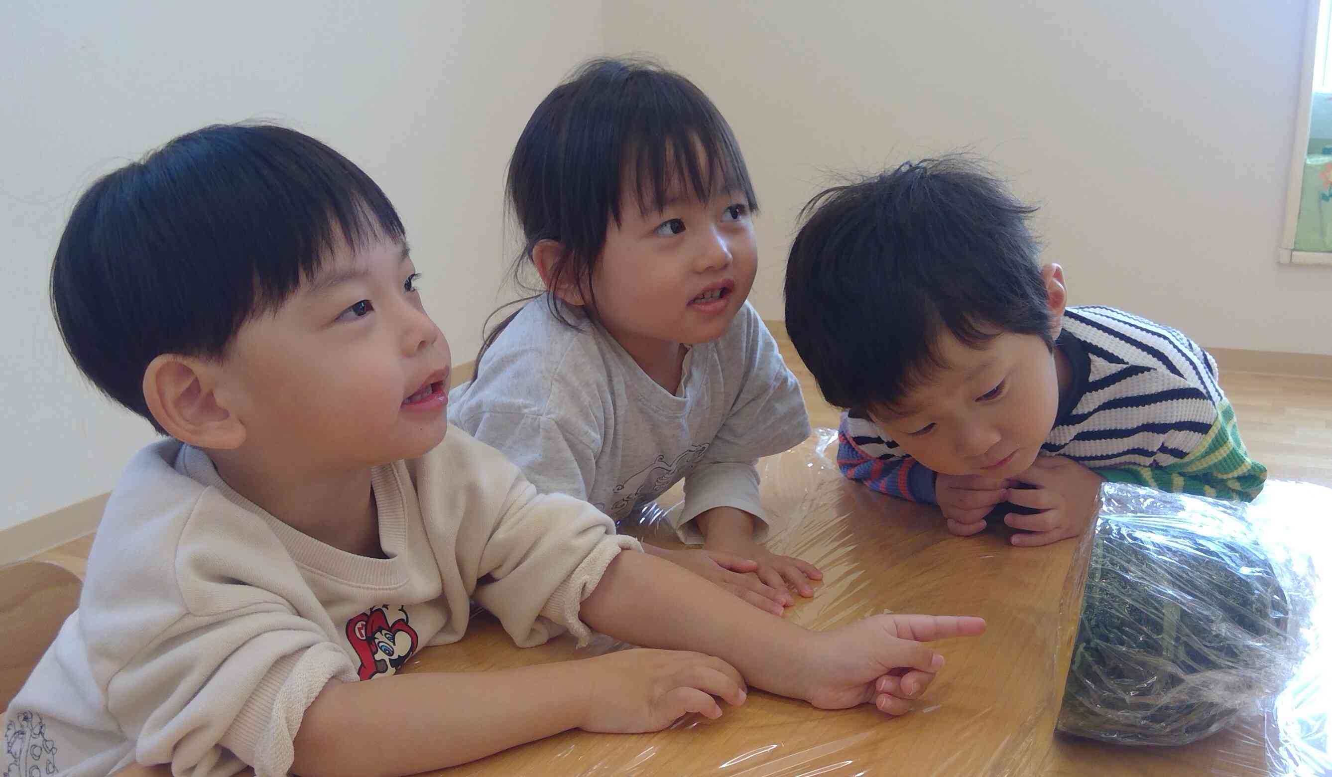 かぼちゃの中をのぞいてみよう!