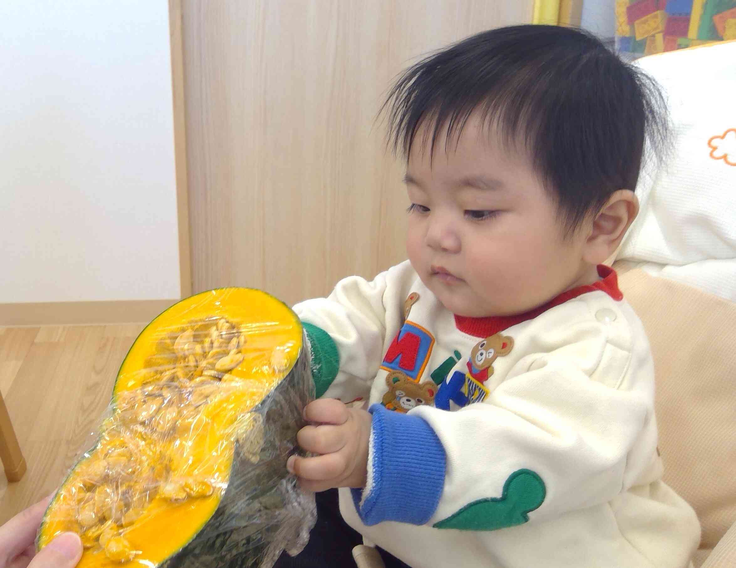 おおきなかぼちゃだね!