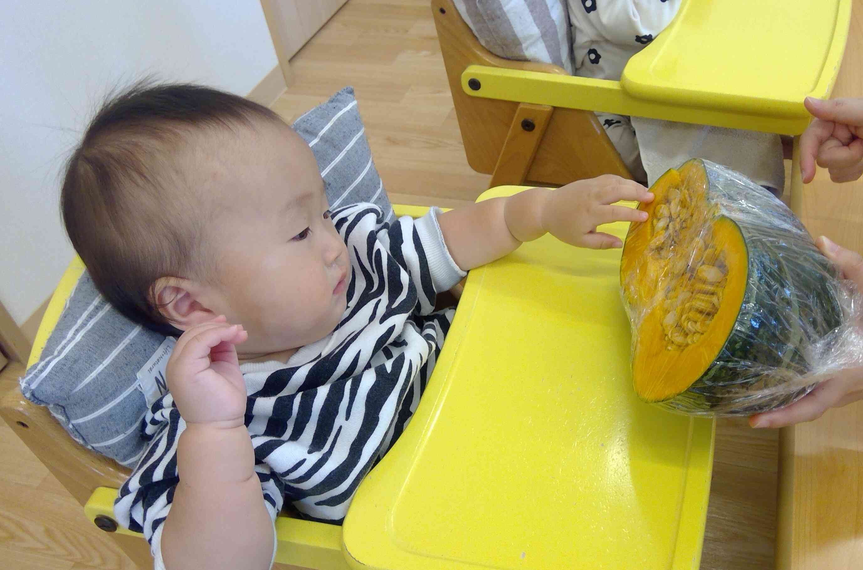 大きなかぼちゃにドキドキ!