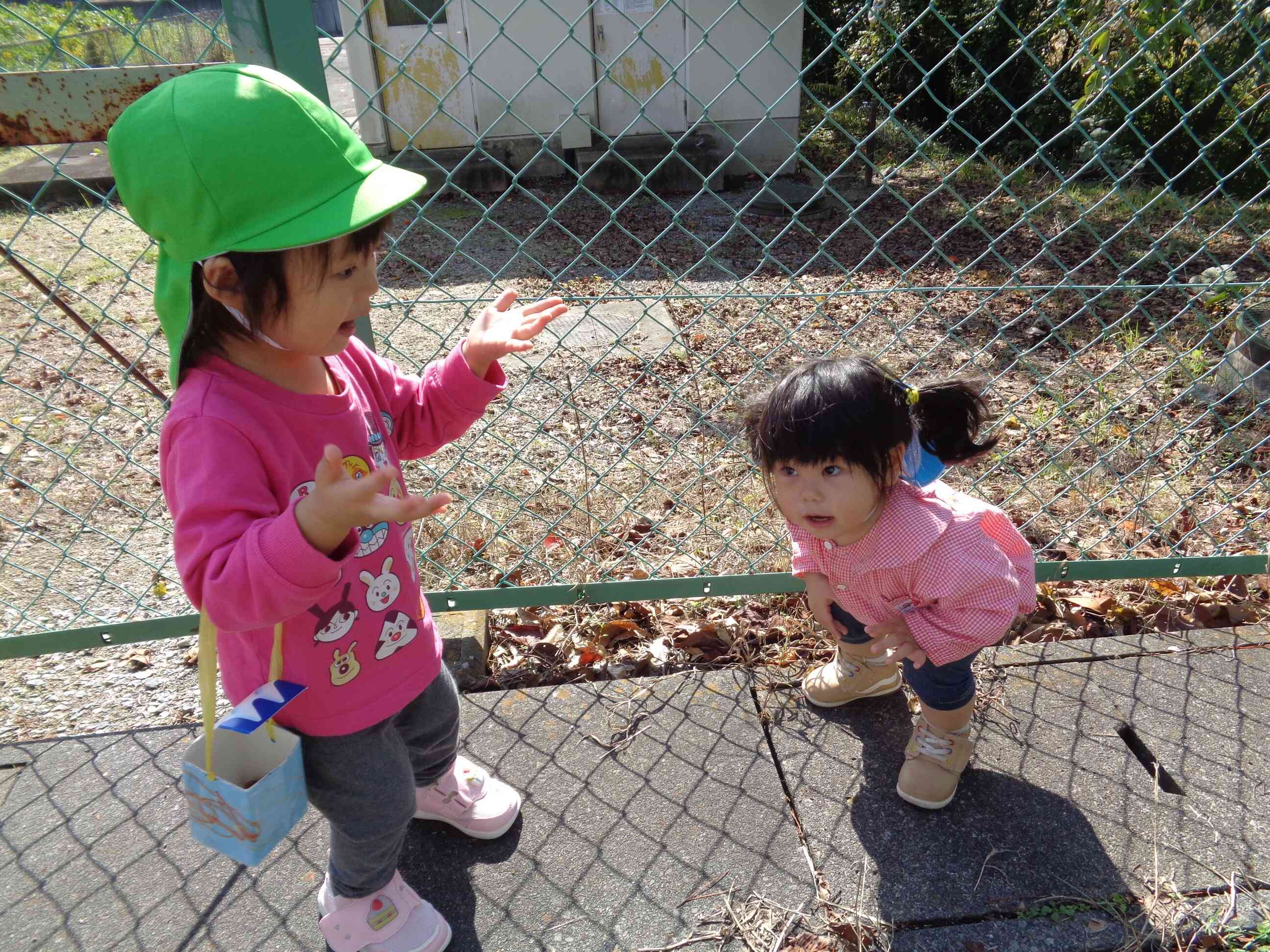 どんぐりころころ♪