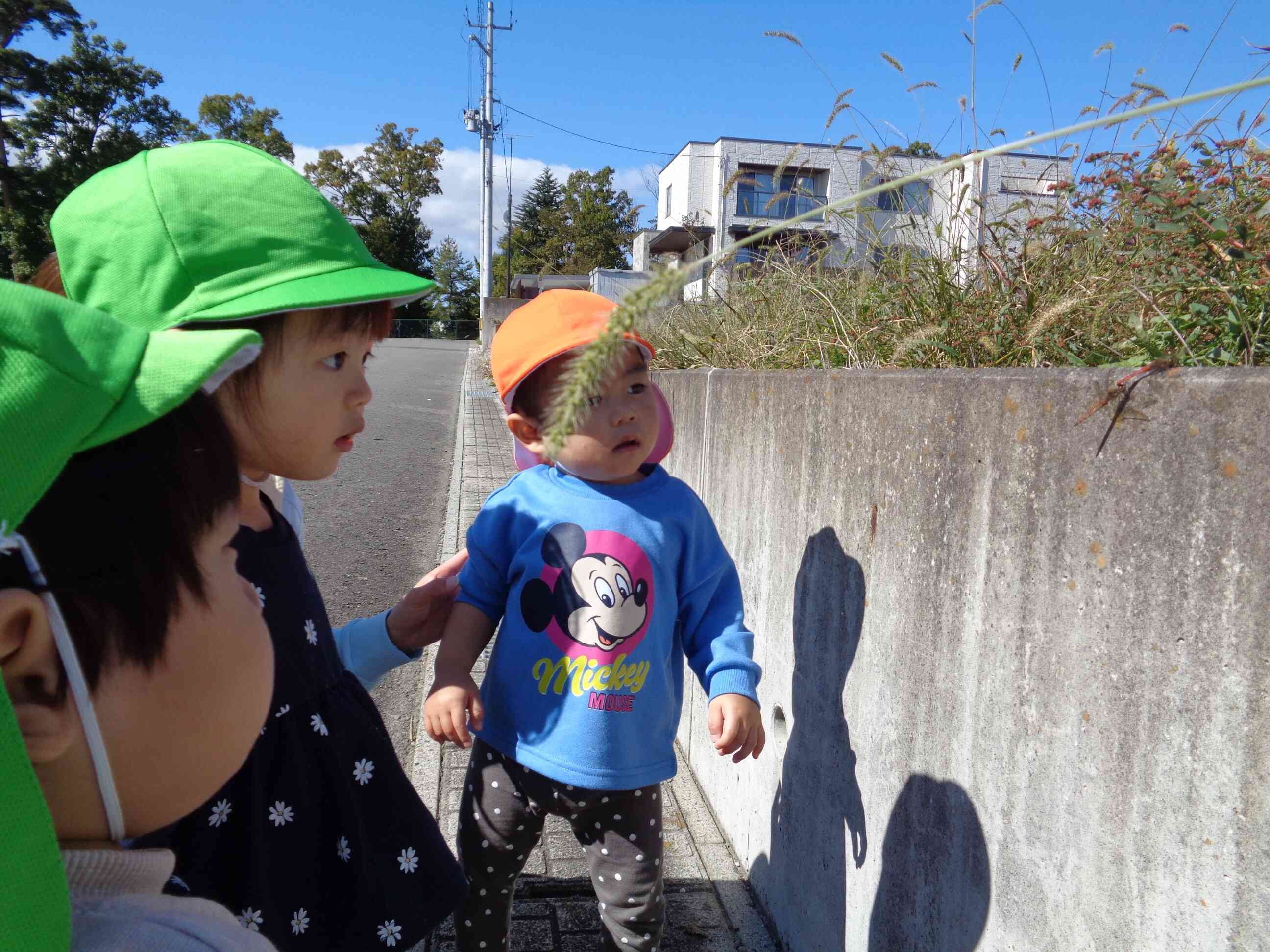 赤とんぼも見つけたよ!