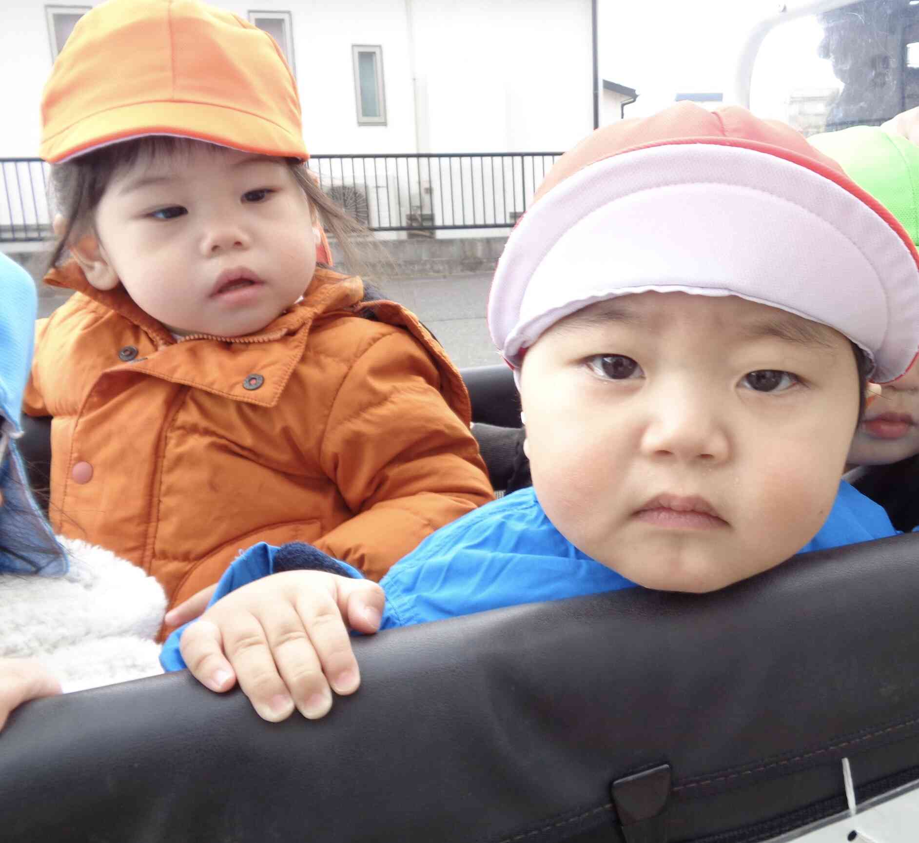 初めての散歩車ドキドキするね