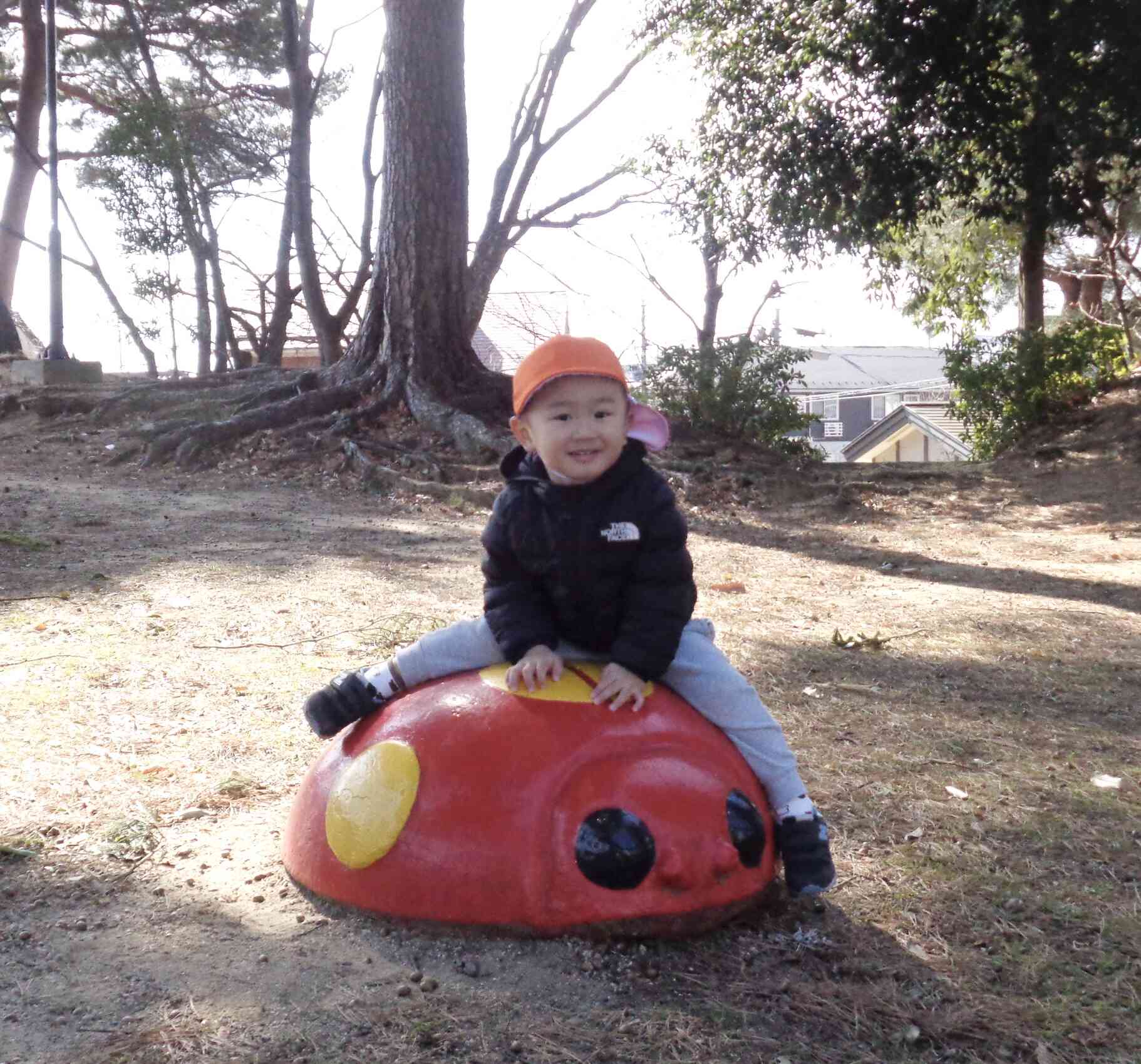 てんとう虫だ！