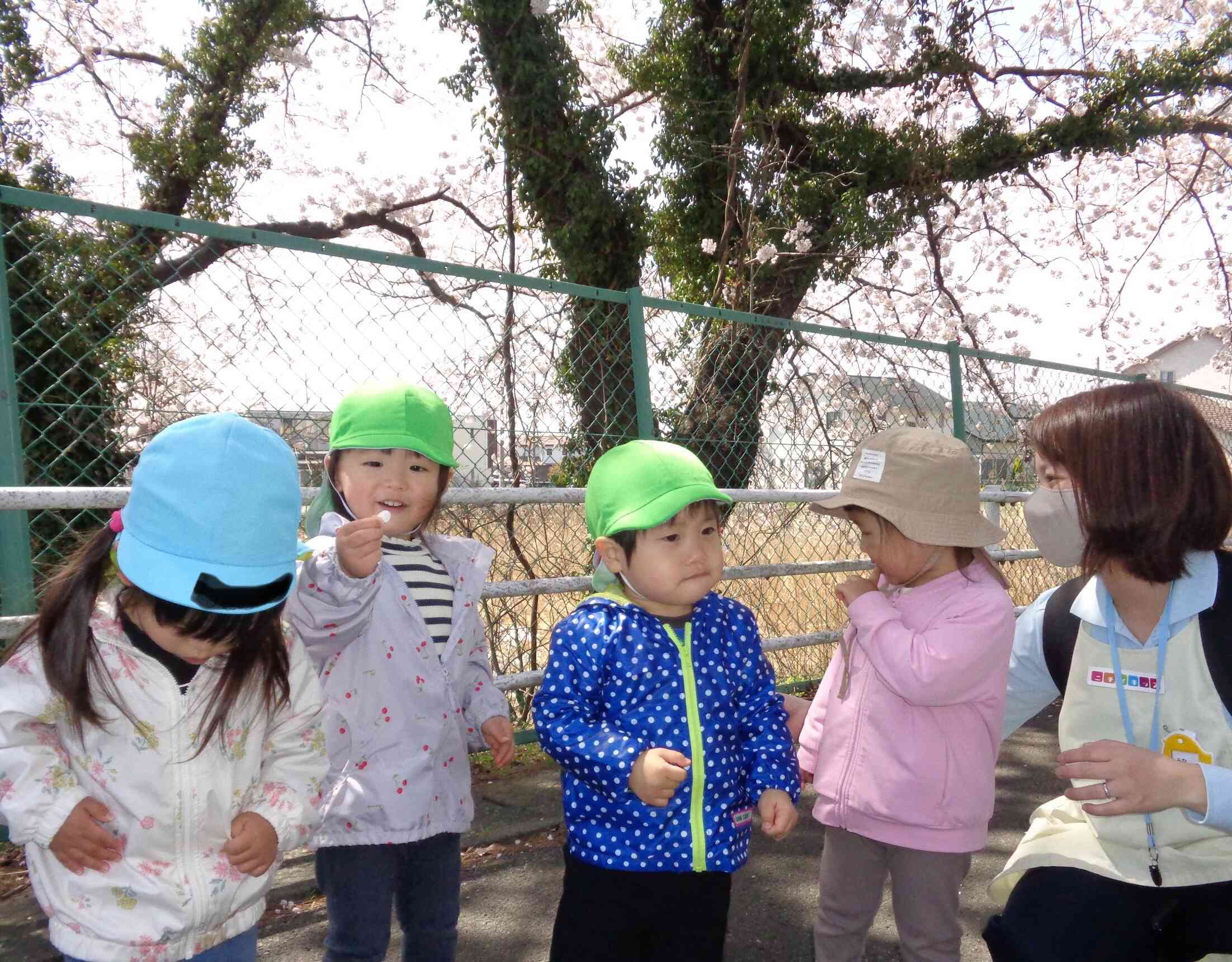 桜を見にいこう（1、2歳児）