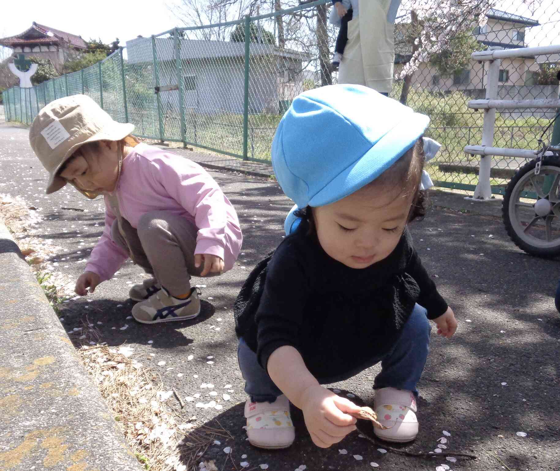 何が落ちているかな